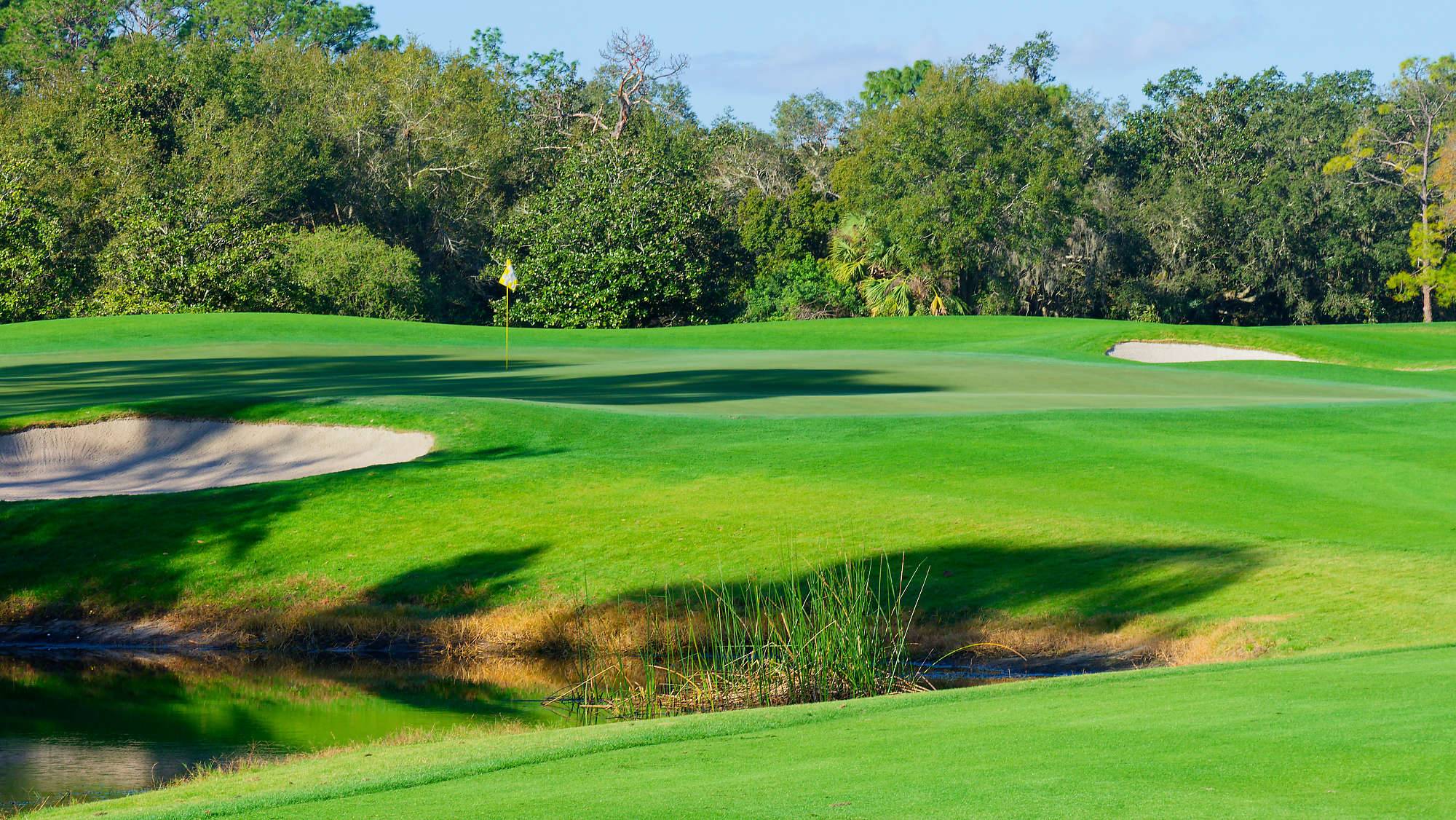 Disney Magnolia Bahn 10-18 MZ6 _8666_DxO