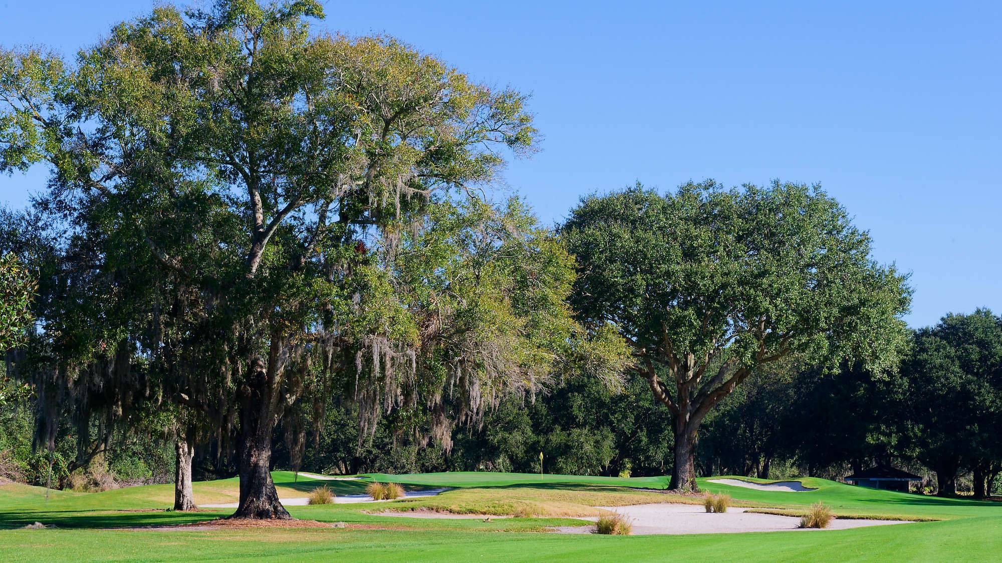 Disney Magnolia Bahn 10-18 MZ6 _8674_DxO