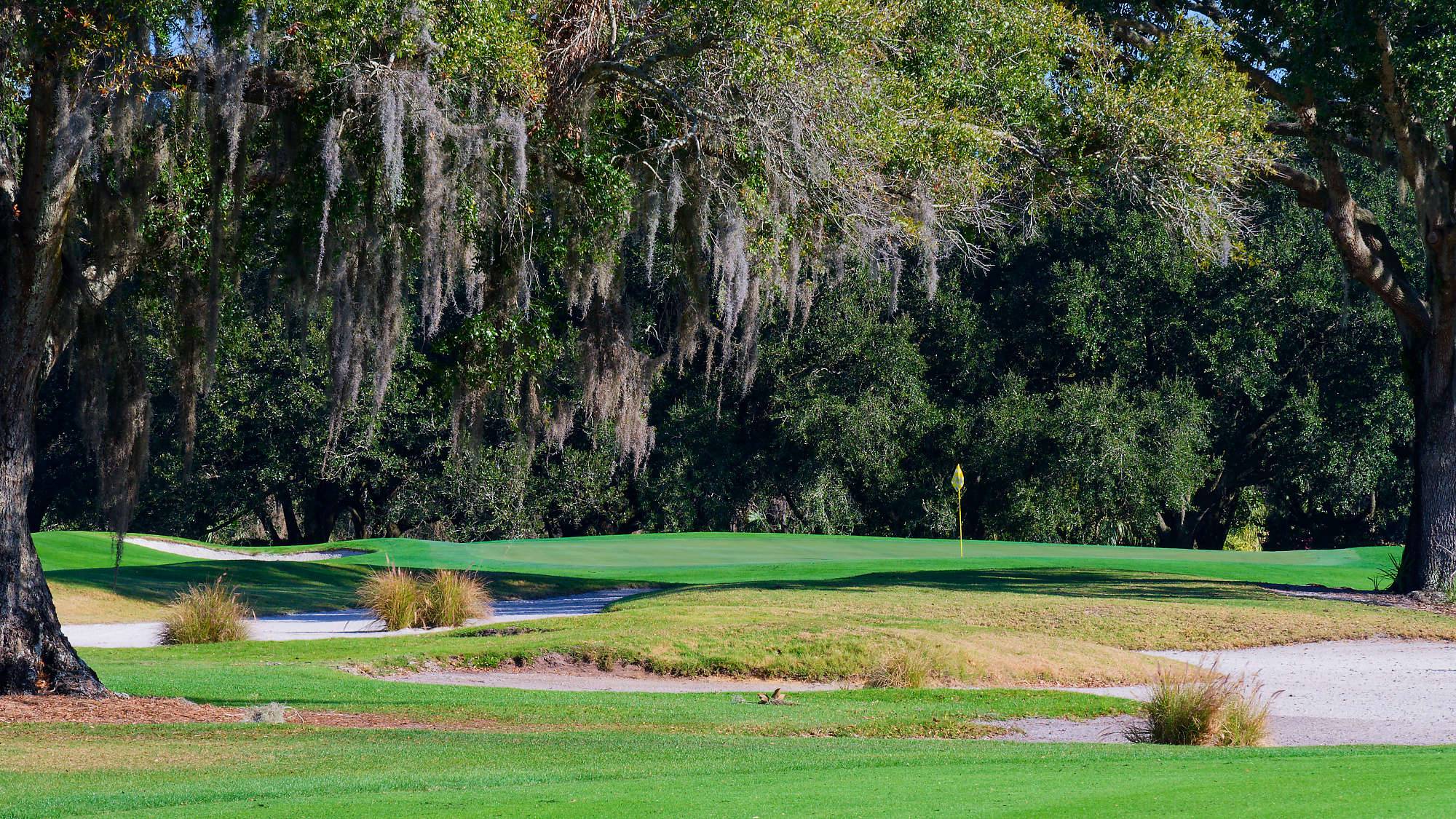 Disney Magnolia Bahn 10-18 MZ6 _8675_DxO