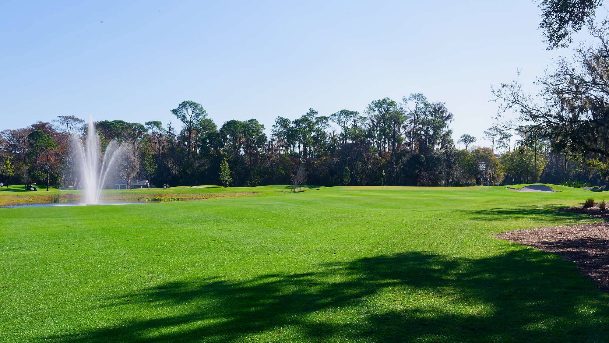 Disney Magnolia Bahn 10-18 MZ6 _8680_DxO