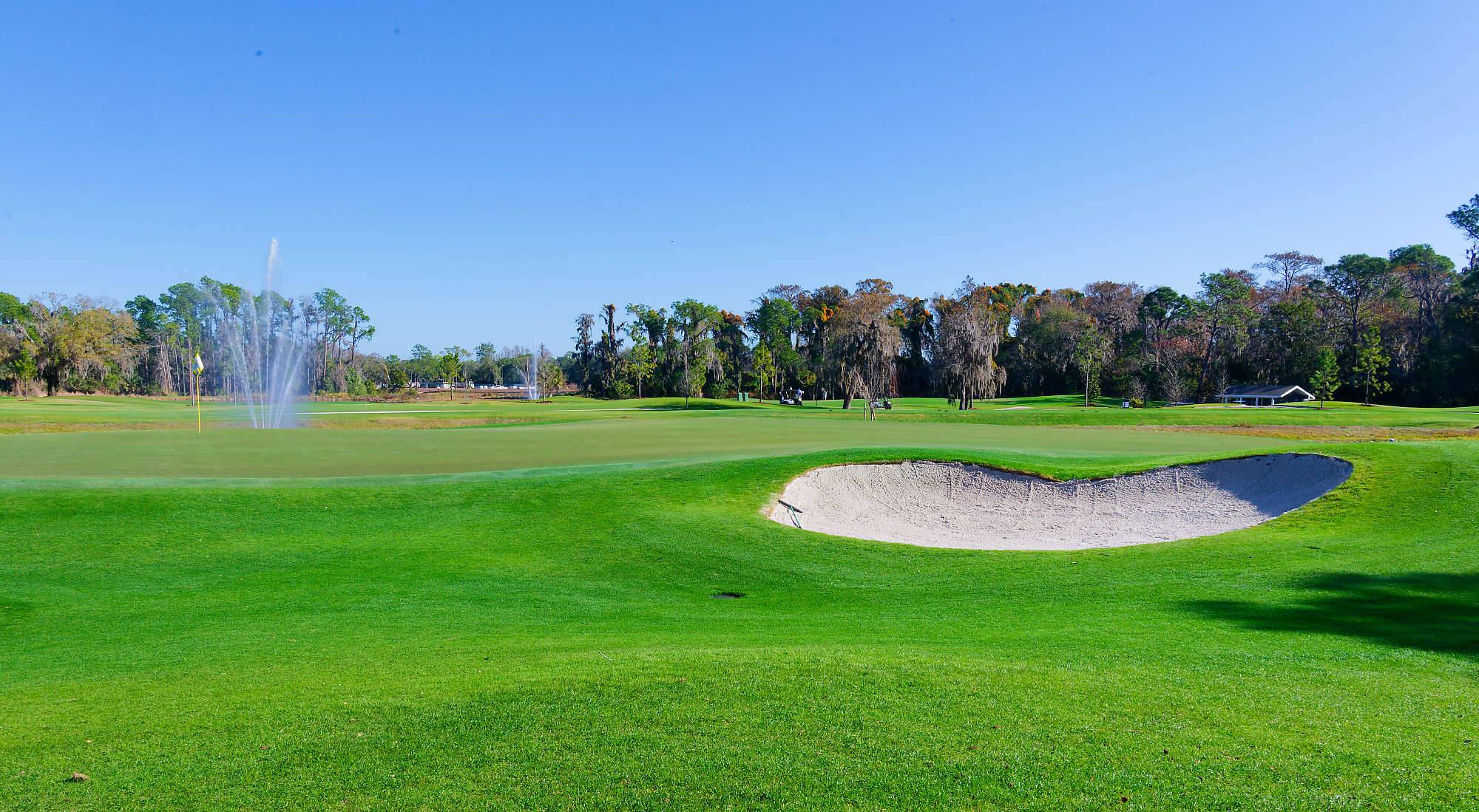 Disney Magnolia Bahn 10-18 MZ6 _8682_DxO