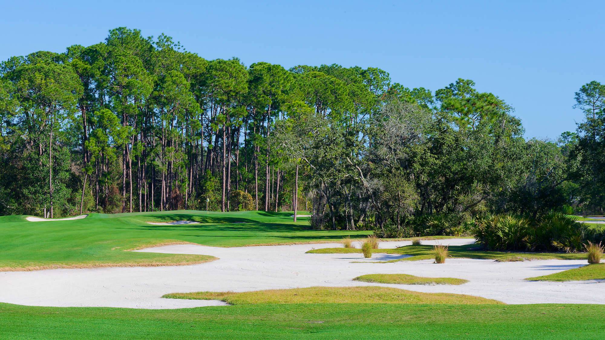 Disney Magnolia Bahn 10-18 MZ6 _8686_DxO