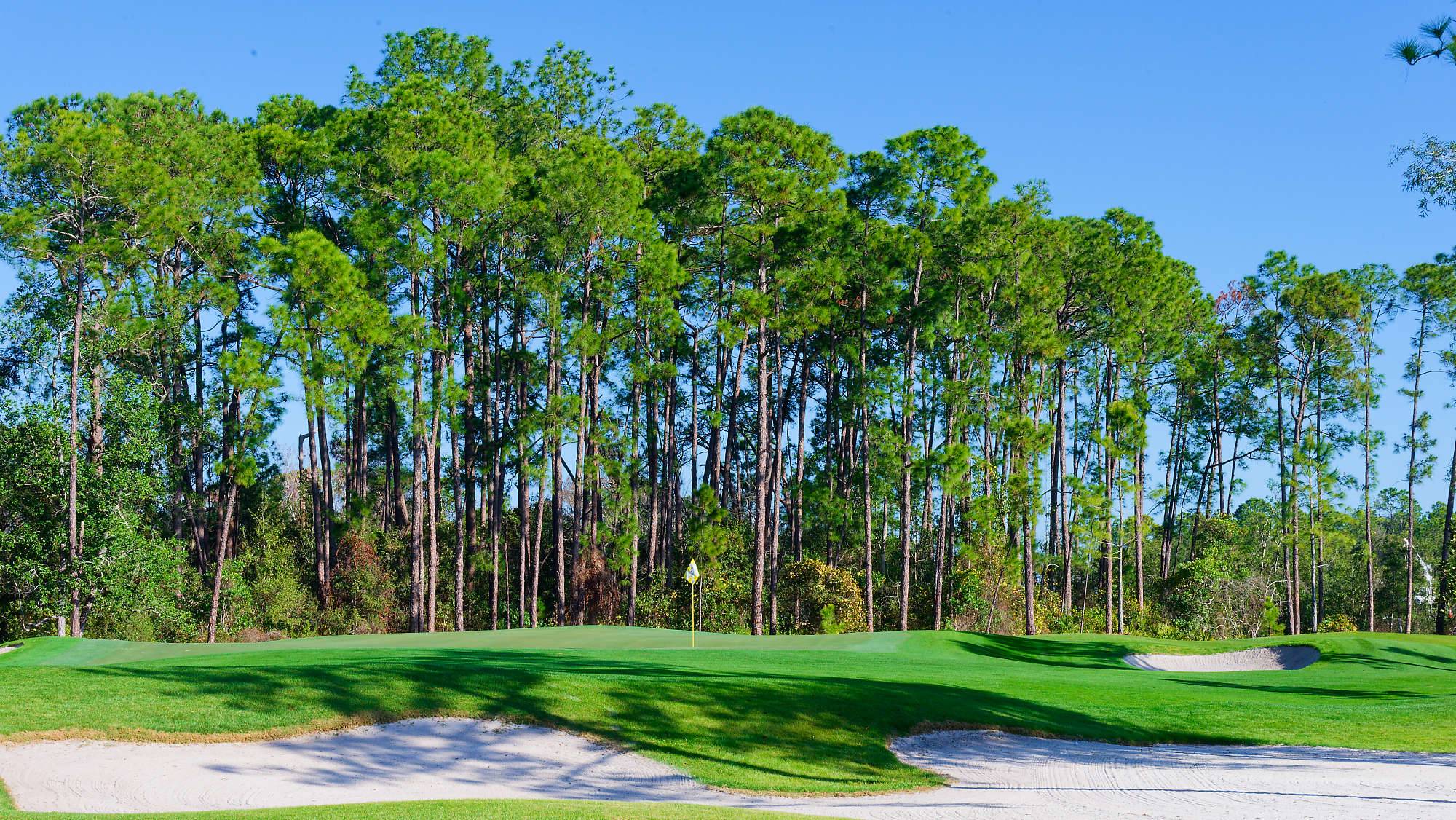 Disney Magnolia Bahn 10-18 MZ6 _8688_DxO