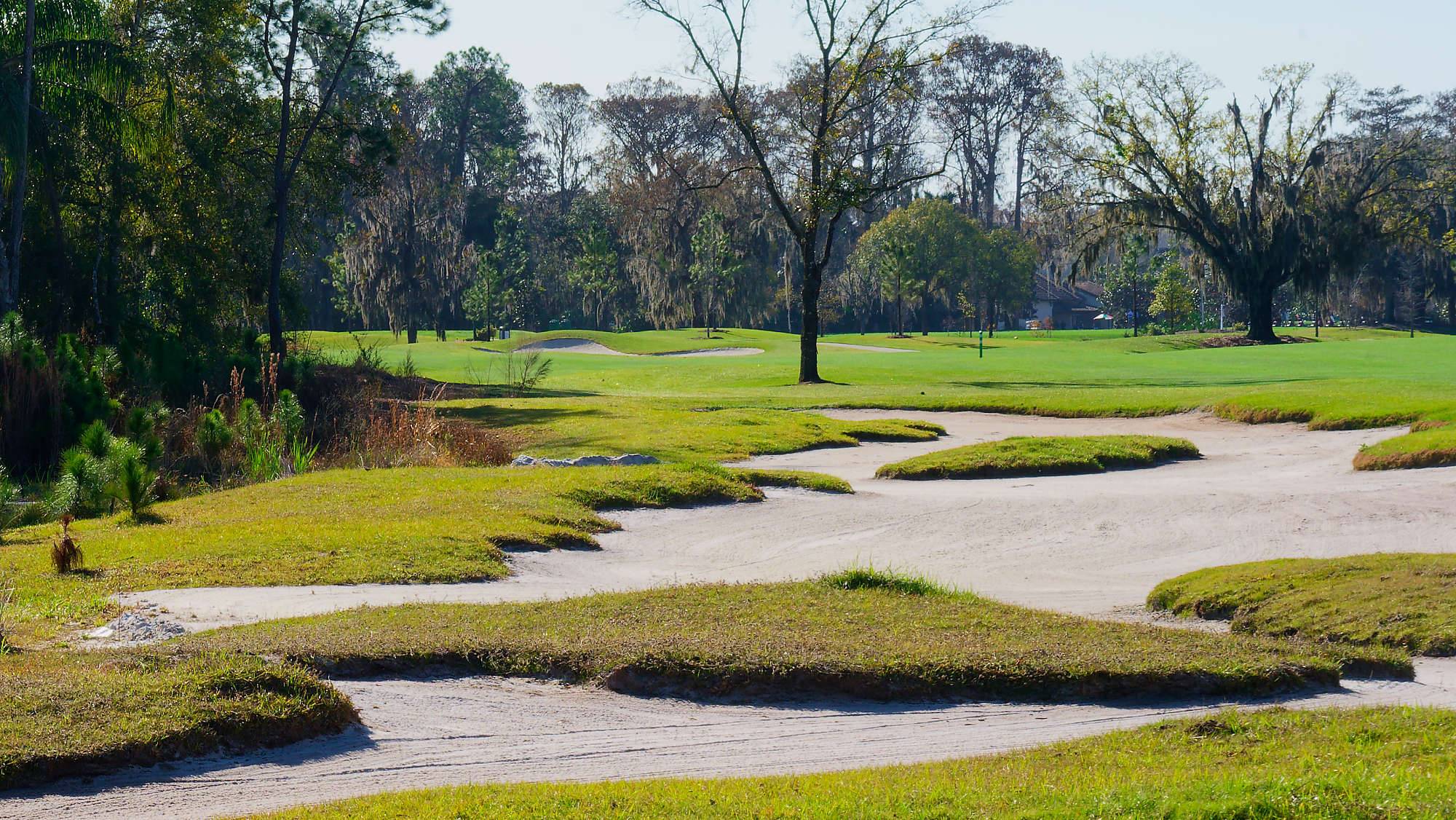Disney Magnolia Bahn 10-18 MZ6 _8692_DxO