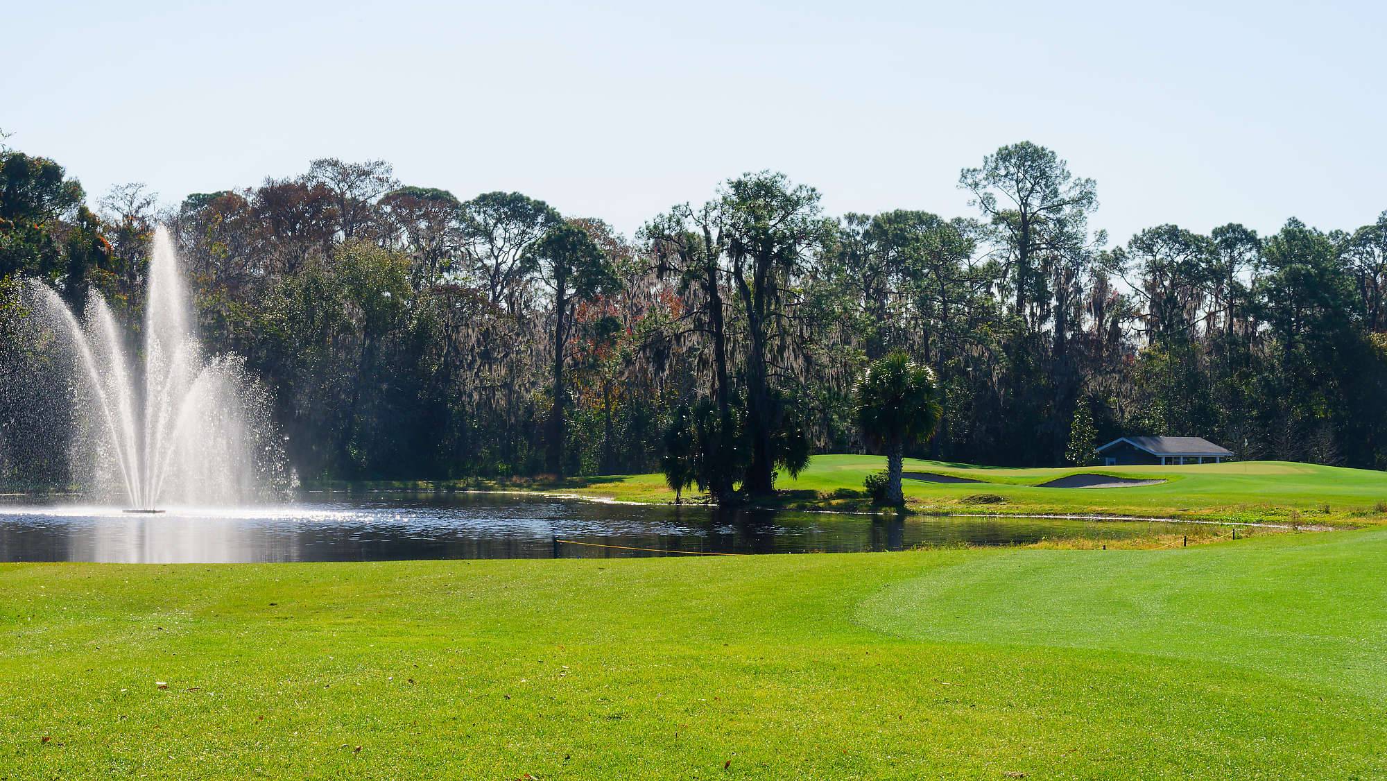 Disney Magnolia Bahn 10-18 MZ6 _8693_DxO