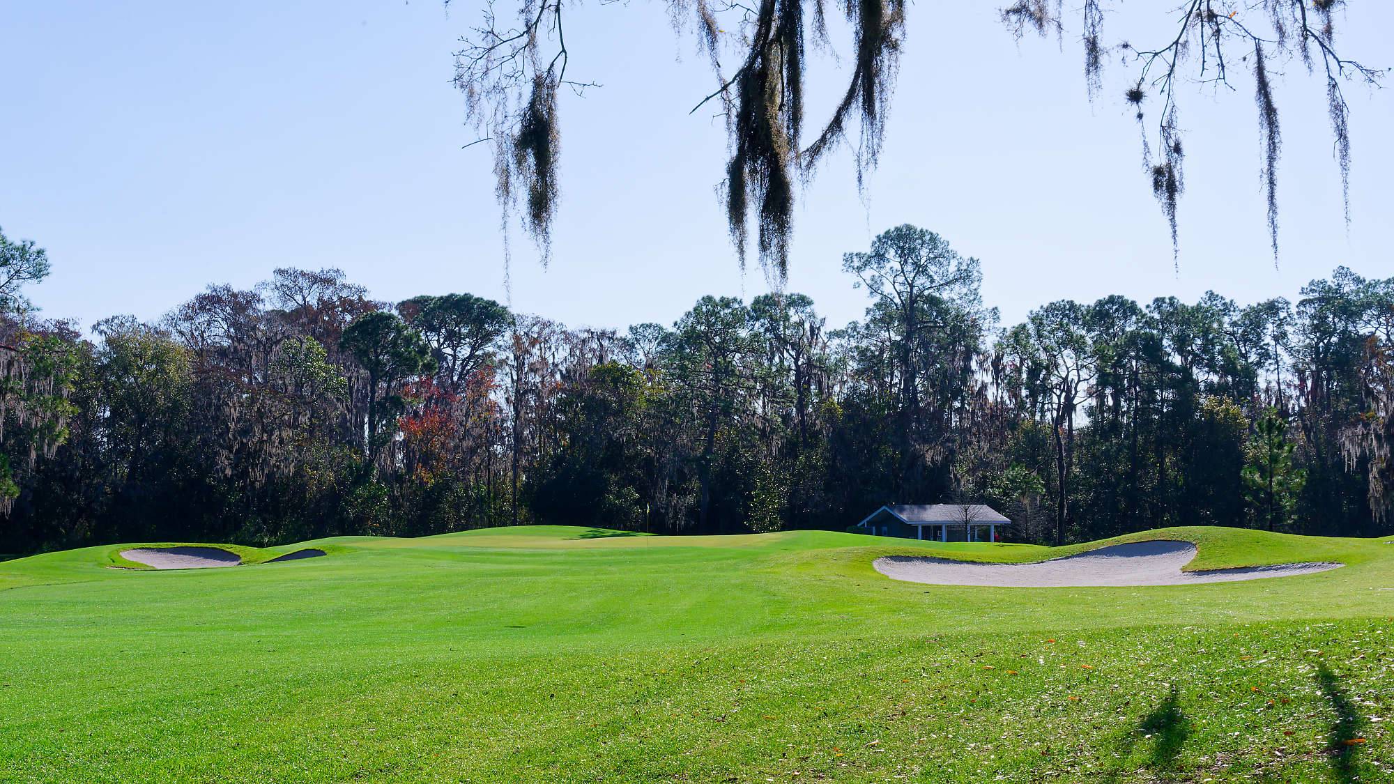 Disney Magnolia Bahn 10-18 MZ6 _8694_DxO