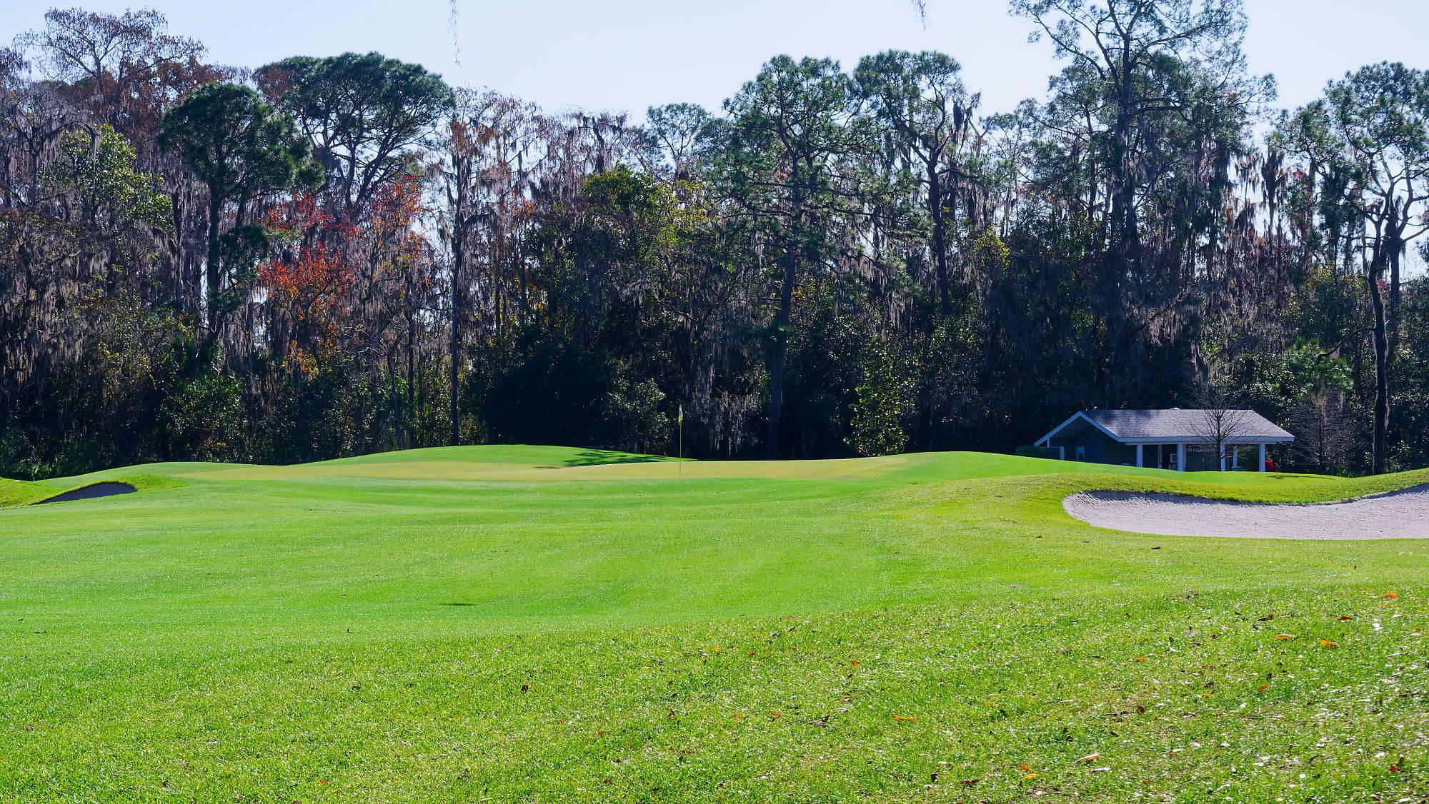 Disney Magnolia Bahn 10-18 MZ6 _8695_DxO