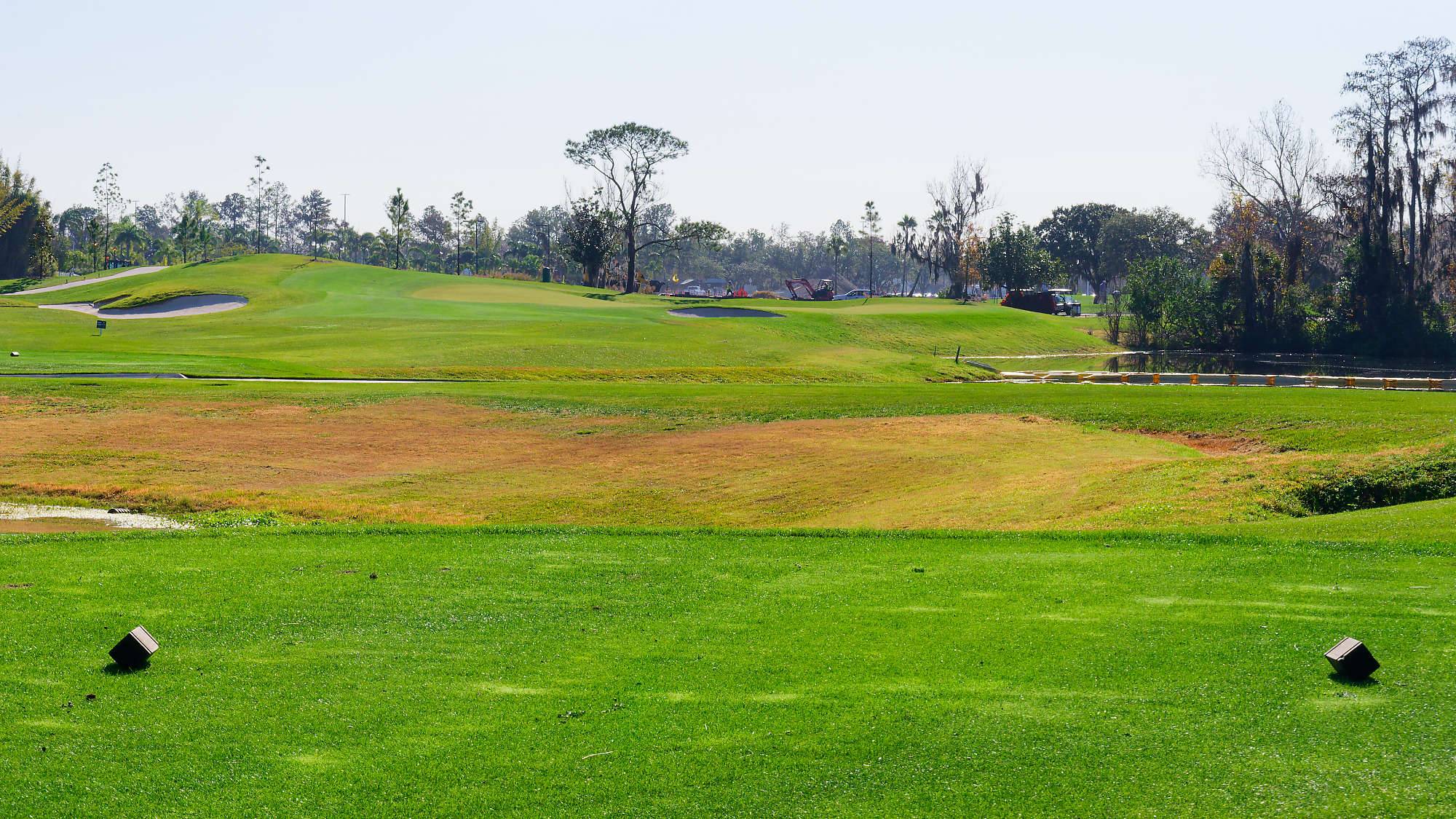 Disney Magnolia Bahn 10-18 MZ6 _8698_DxO