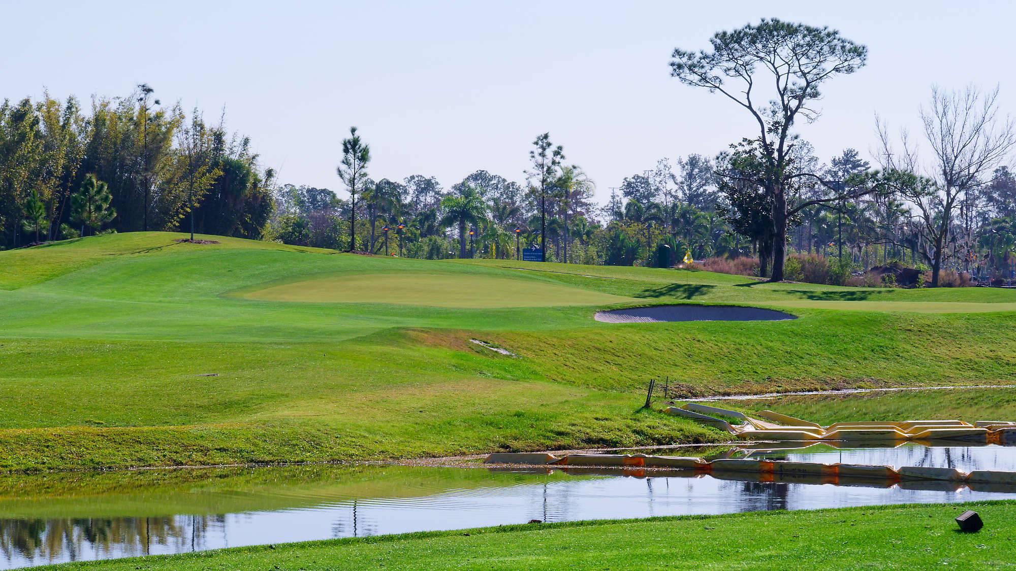 Disney Magnolia Bahn 10-18 MZ6 _8699_DxO