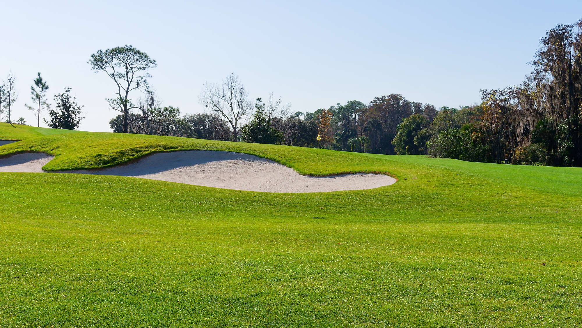 Disney Magnolia Bahn 10-18 MZ6 _8701_DxO