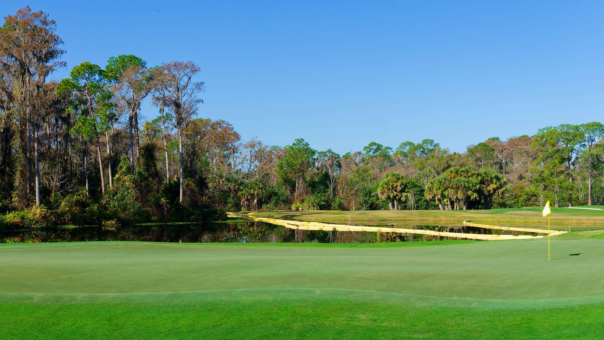 Disney Magnolia Bahn 10-18 MZ6 _8702_DxO