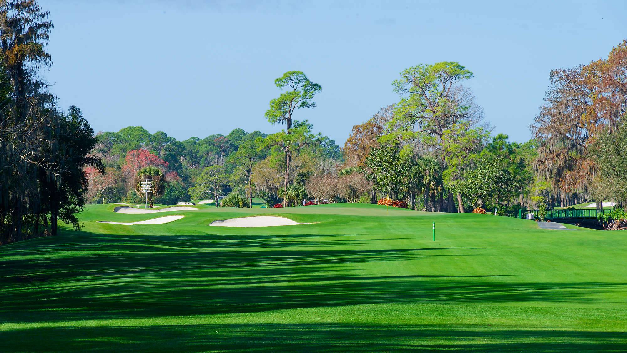 Disney Magnolia Bahn 10-18 MZ6 _8705_DxO