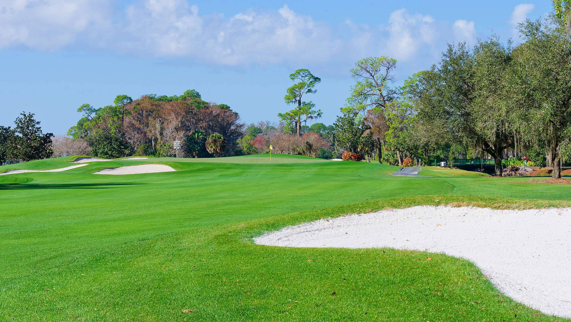 Disney Magnolia Bahn 10-18 MZ6 _8706_DxO