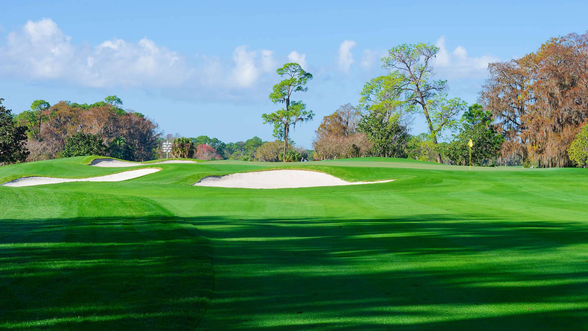 Disney Magnolia Bahn 10-18 MZ6 _8707_DxO