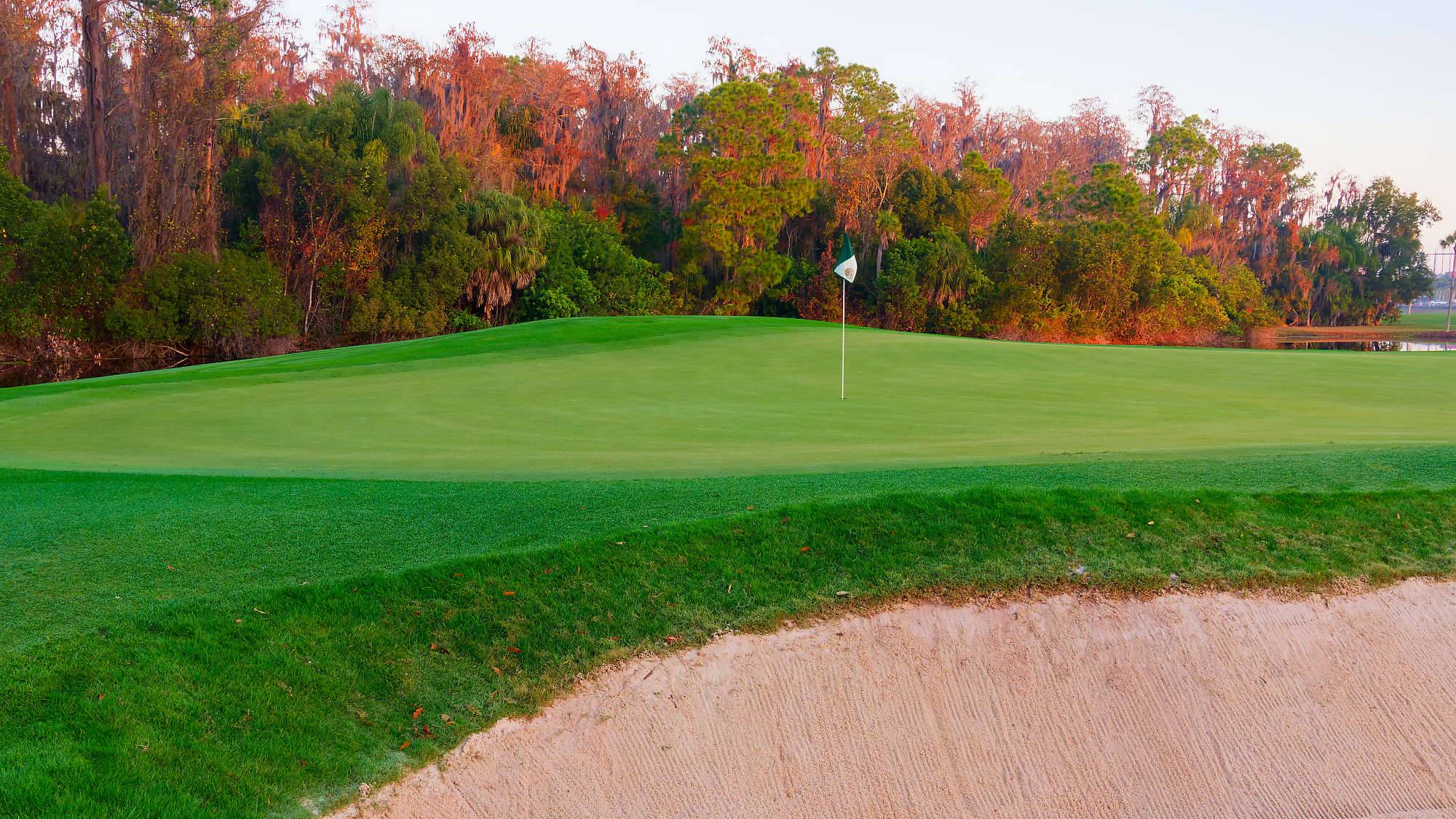 Disney Palm Bahn 1-9 MZ6 _8523_DxO