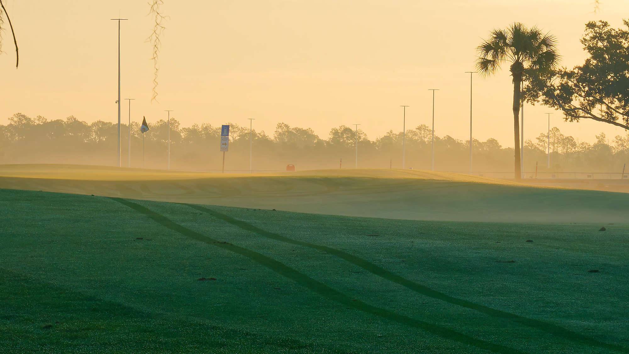 Disney Palm Bahn 1-9 MZ6 _8531_DxO