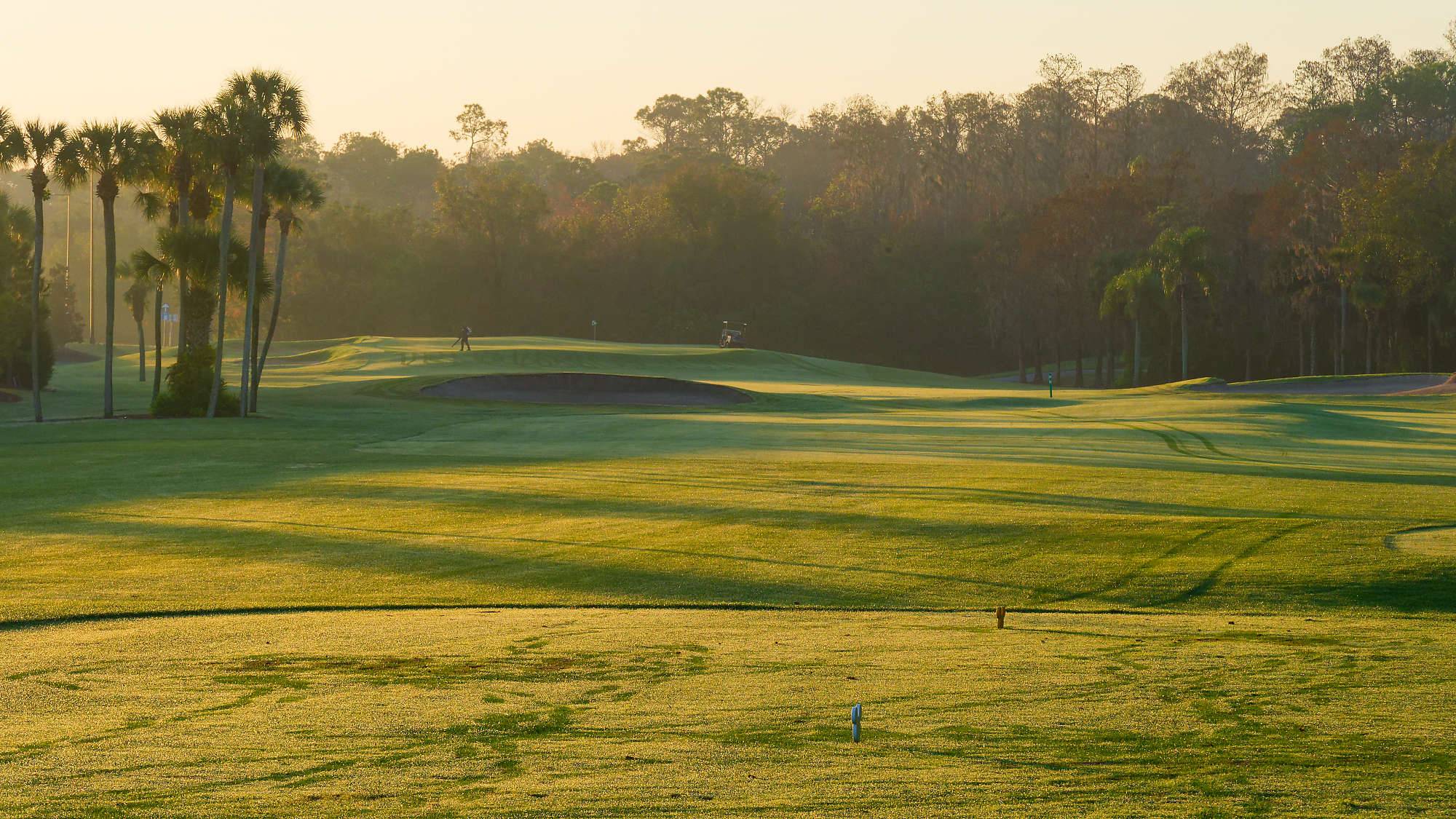 Disney Palm Bahn 1-9 MZ6 _8540_DxO