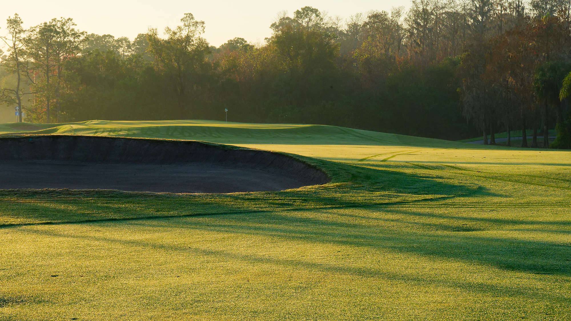 Disney Palm Bahn 1-9 MZ6 _8542_DxO