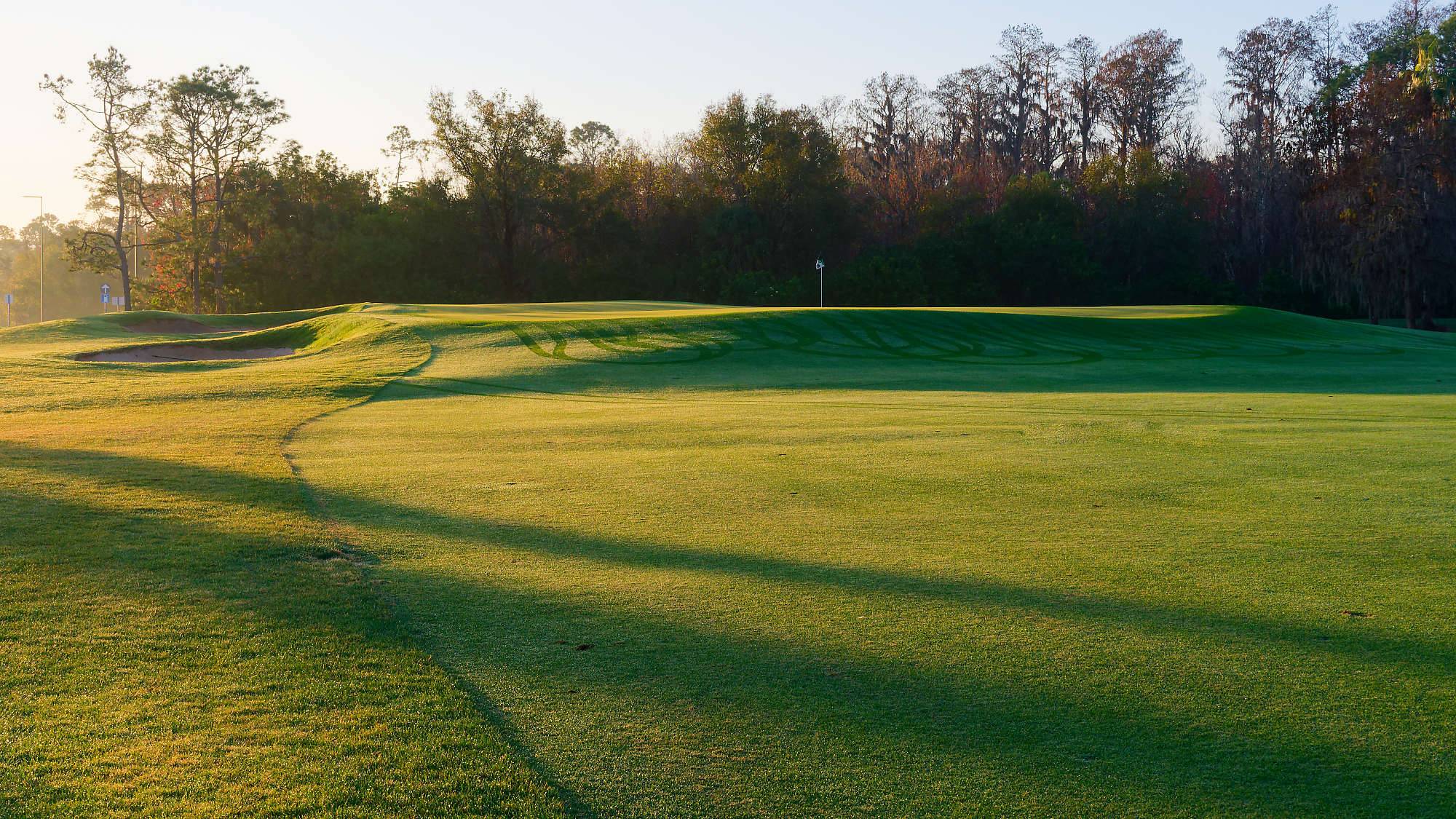 Disney Palm Bahn 1-9 MZ6 _8546_DxO