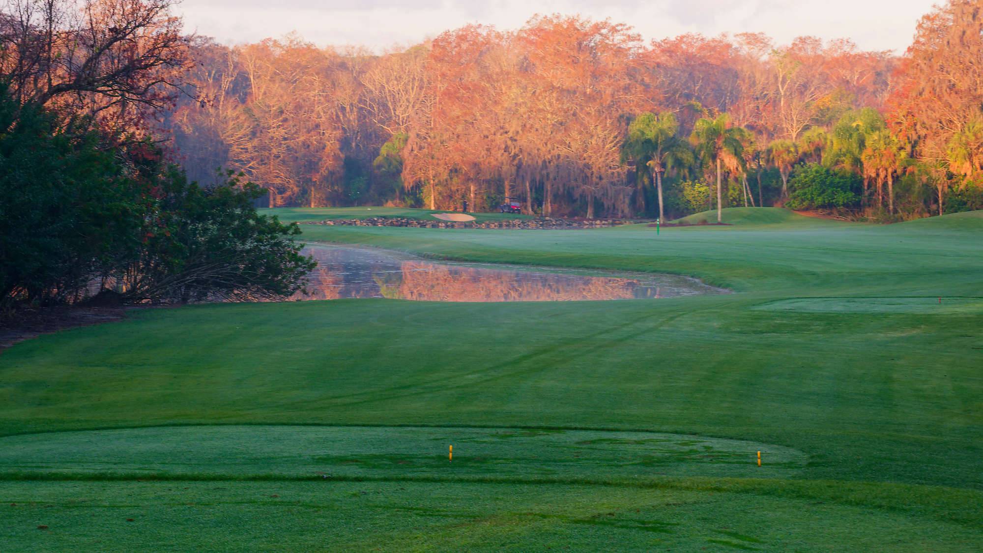 Disney Palm Bahn 1-9 MZ6 _8548_DxO