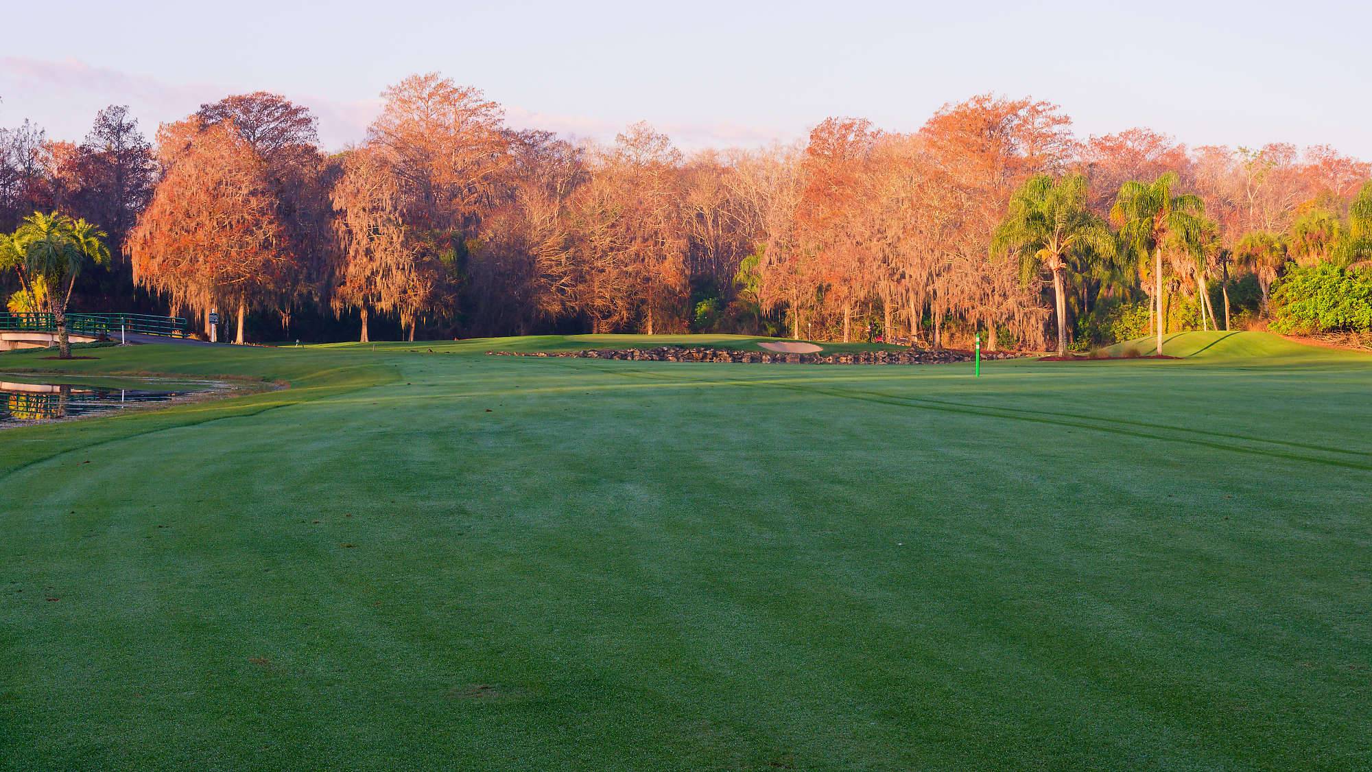 Disney Palm Bahn 1-9 MZ6 _8553_DxO