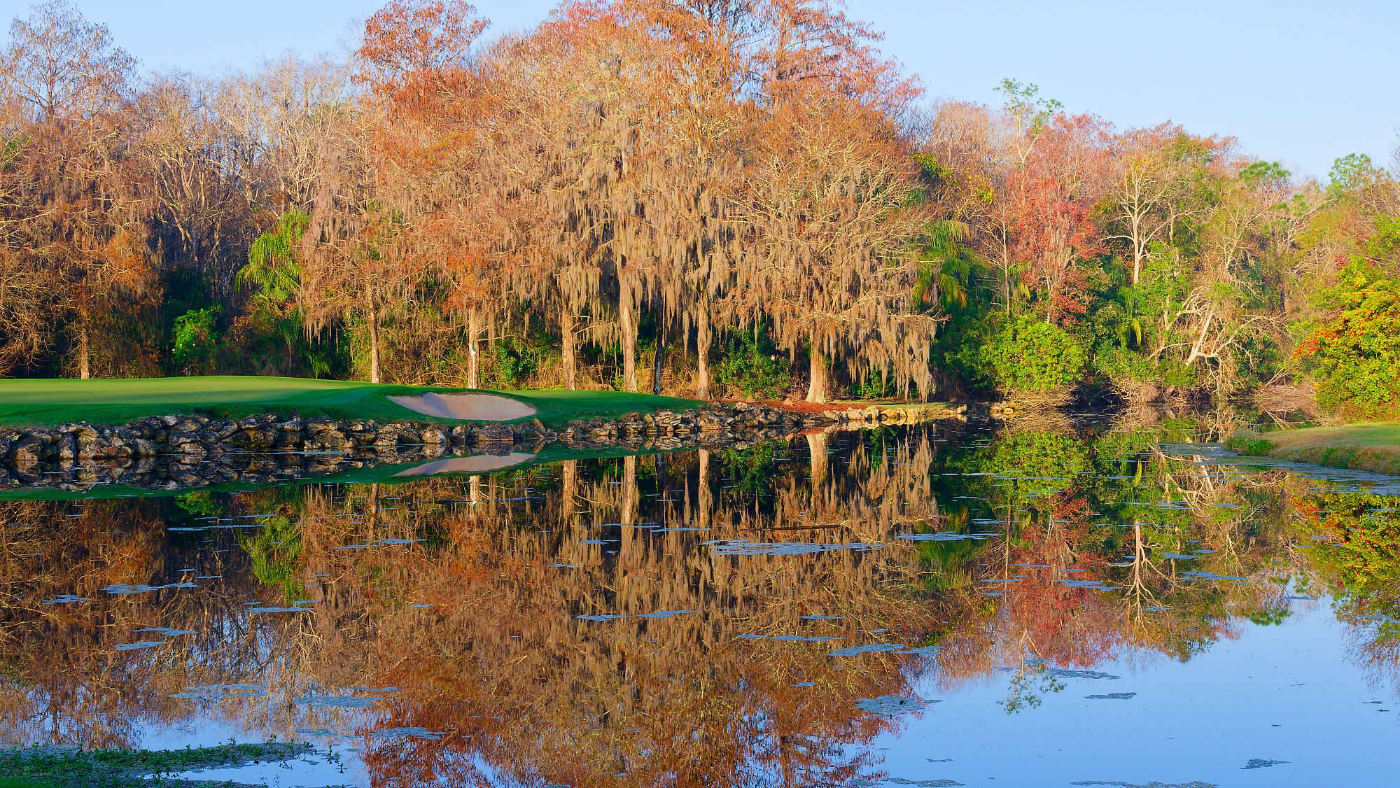 Disney Palm Bahn 1-9 MZ6 _8560_DxO