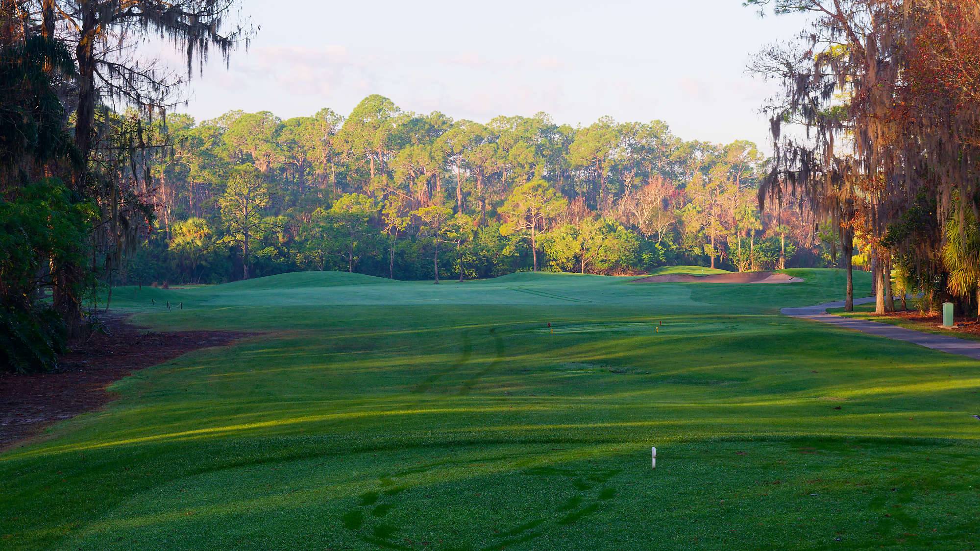 Disney Palm Bahn 1-9 MZ6 _8569_DxO