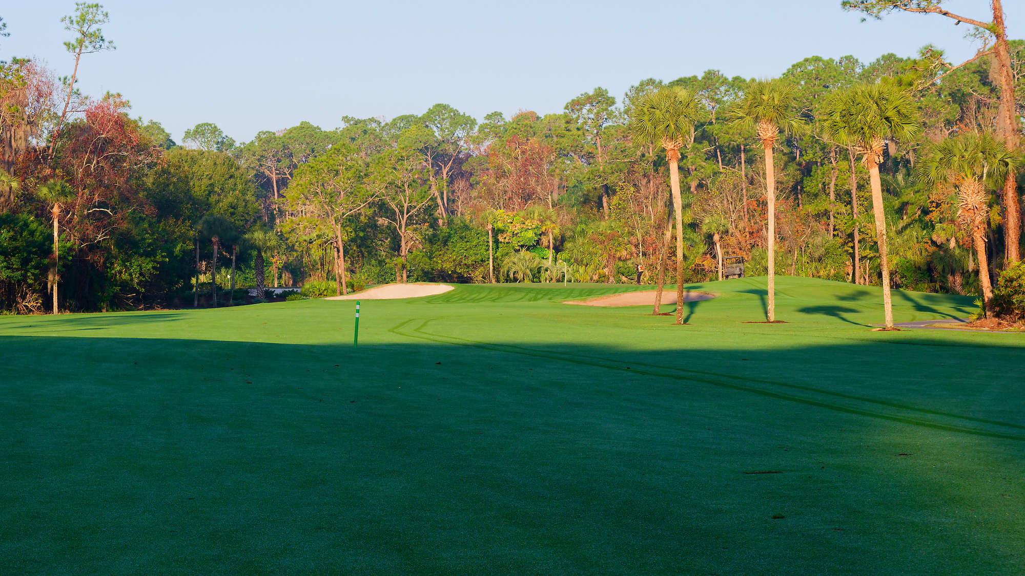 Disney Palm Bahn 1-9 MZ6 _8572_DxO