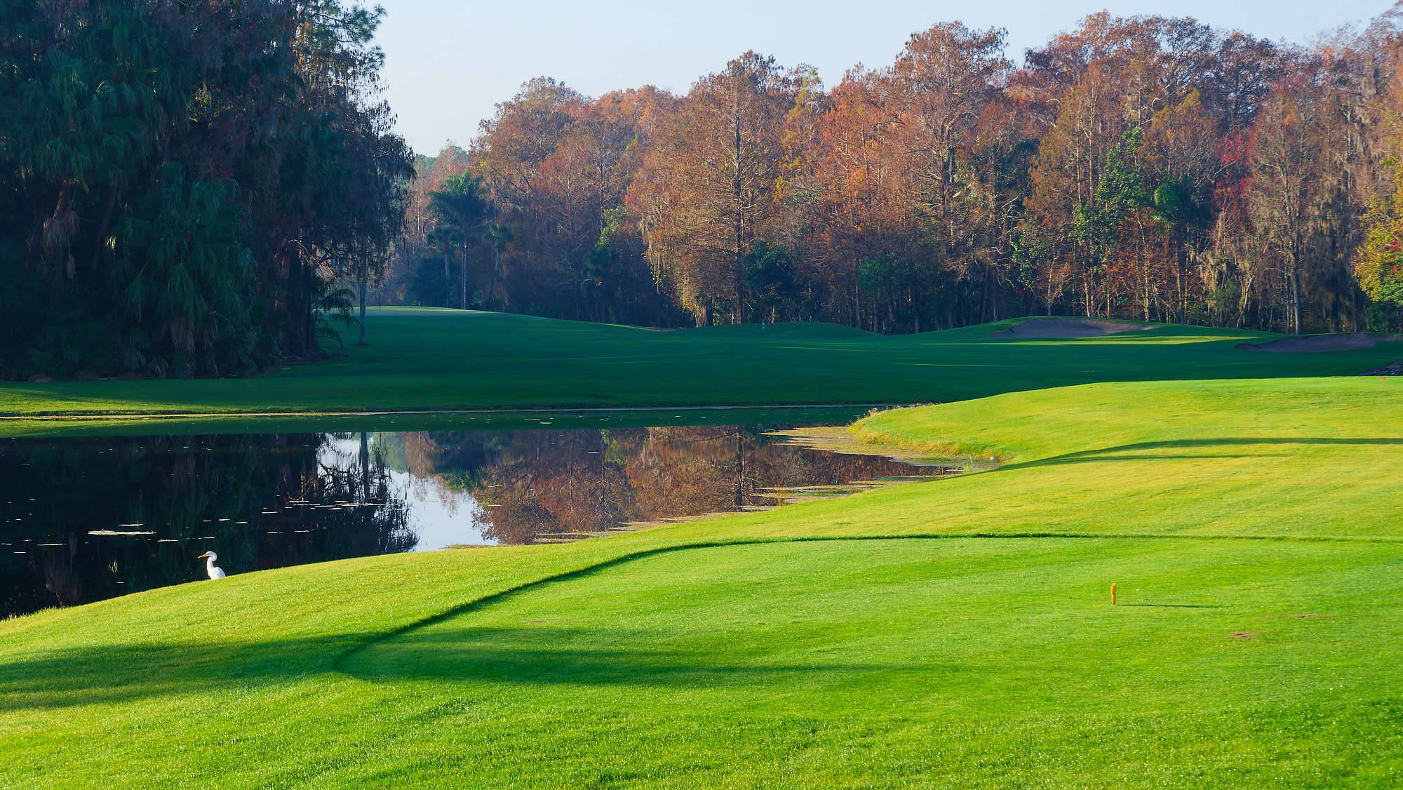 Disney Palm Bahn 10-18 MZ6 _8589_DxO