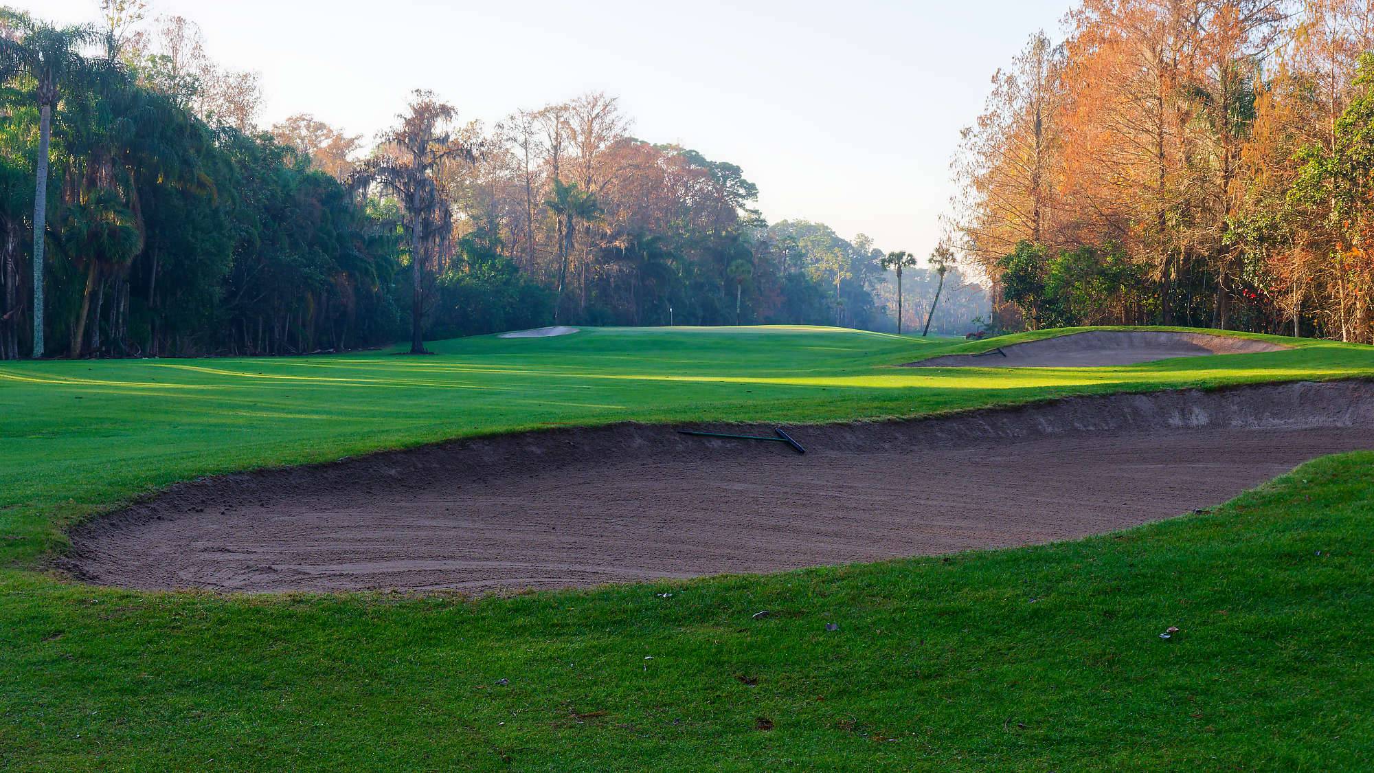 Disney Palm Bahn 10-18 MZ6 _8590_DxO