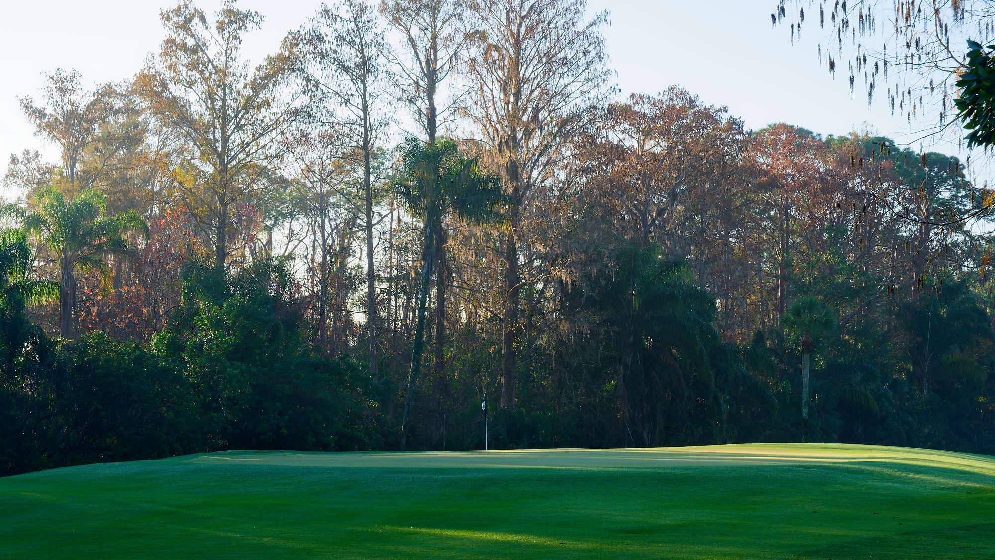 Disney Palm Bahn 10-18 MZ6 _8592_DxO