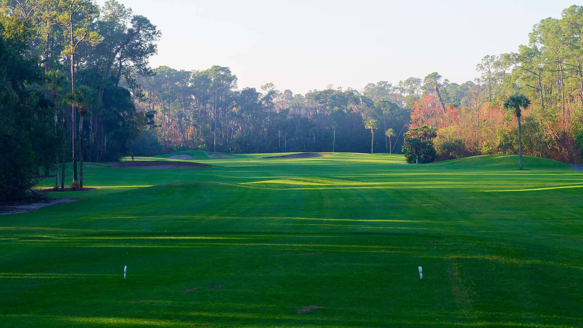 Disney Palm Bahn 10-18 MZ6 _8594_DxO