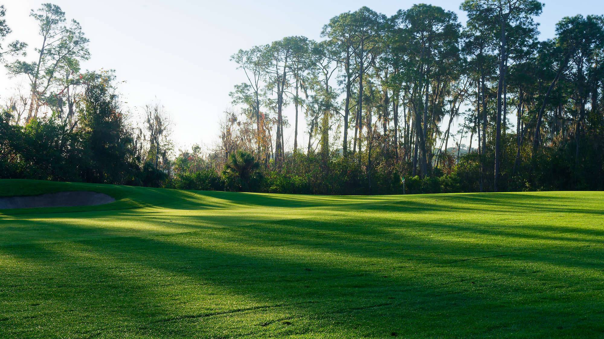 Disney Palm Bahn 10-18 MZ6 _8598_DxO