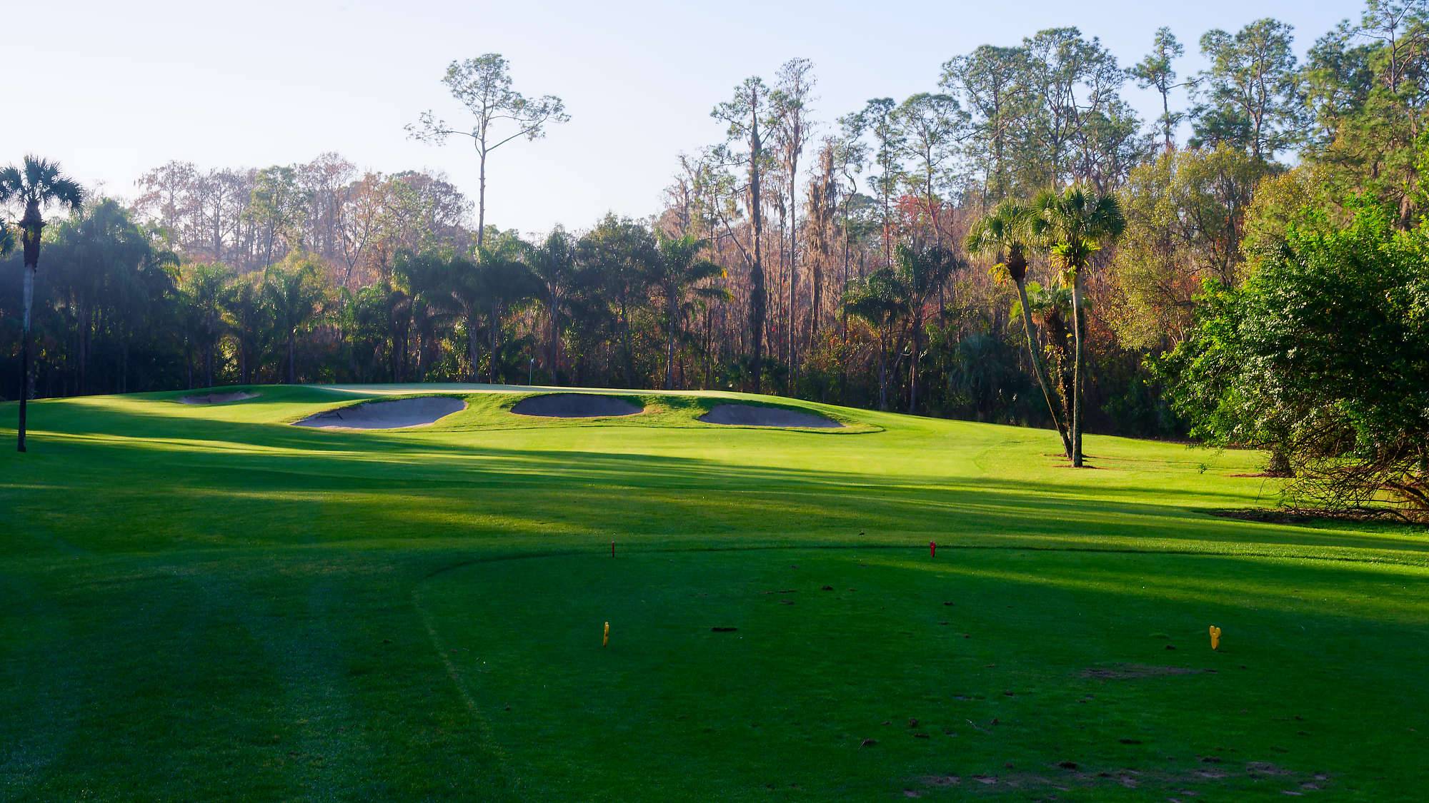 Disney Palm Bahn 10-18 MZ6 _8601_DxO