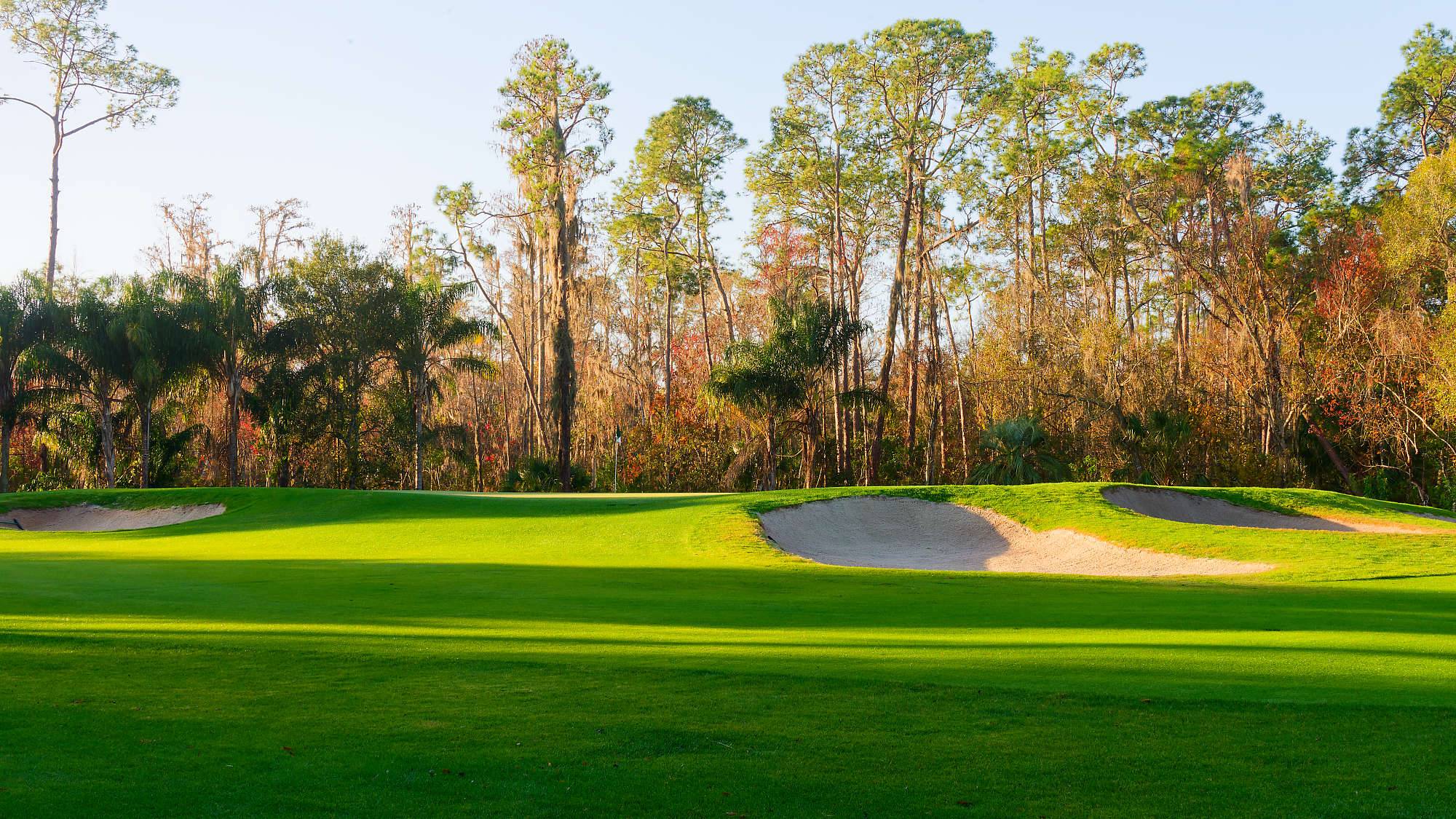 Disney Palm Bahn 10-18 MZ6 _8604_DxO