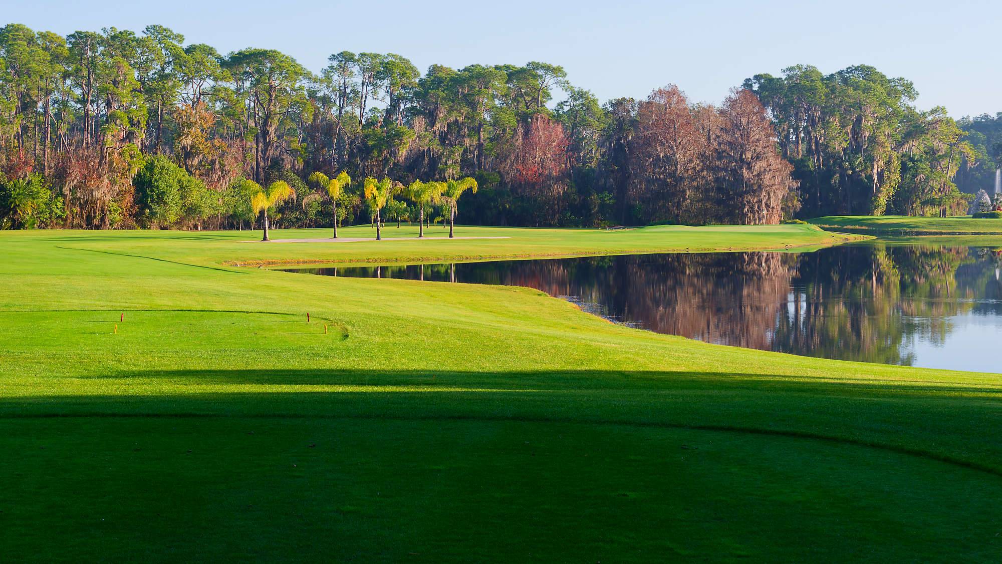 Disney Palm Bahn 10-18 MZ6 _8606_DxO