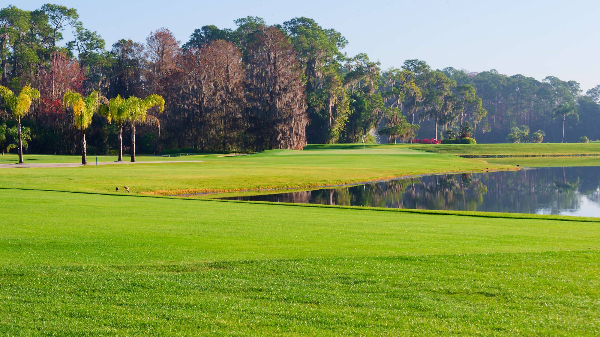 Disney Palm Bahn 10-18 MZ6 _8610_DxO