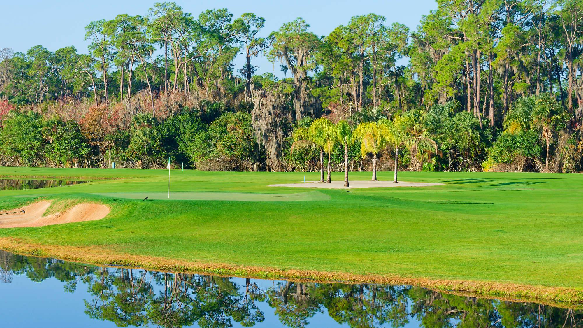 Disney Palm Bahn 10-18 MZ6 _8615_DxO