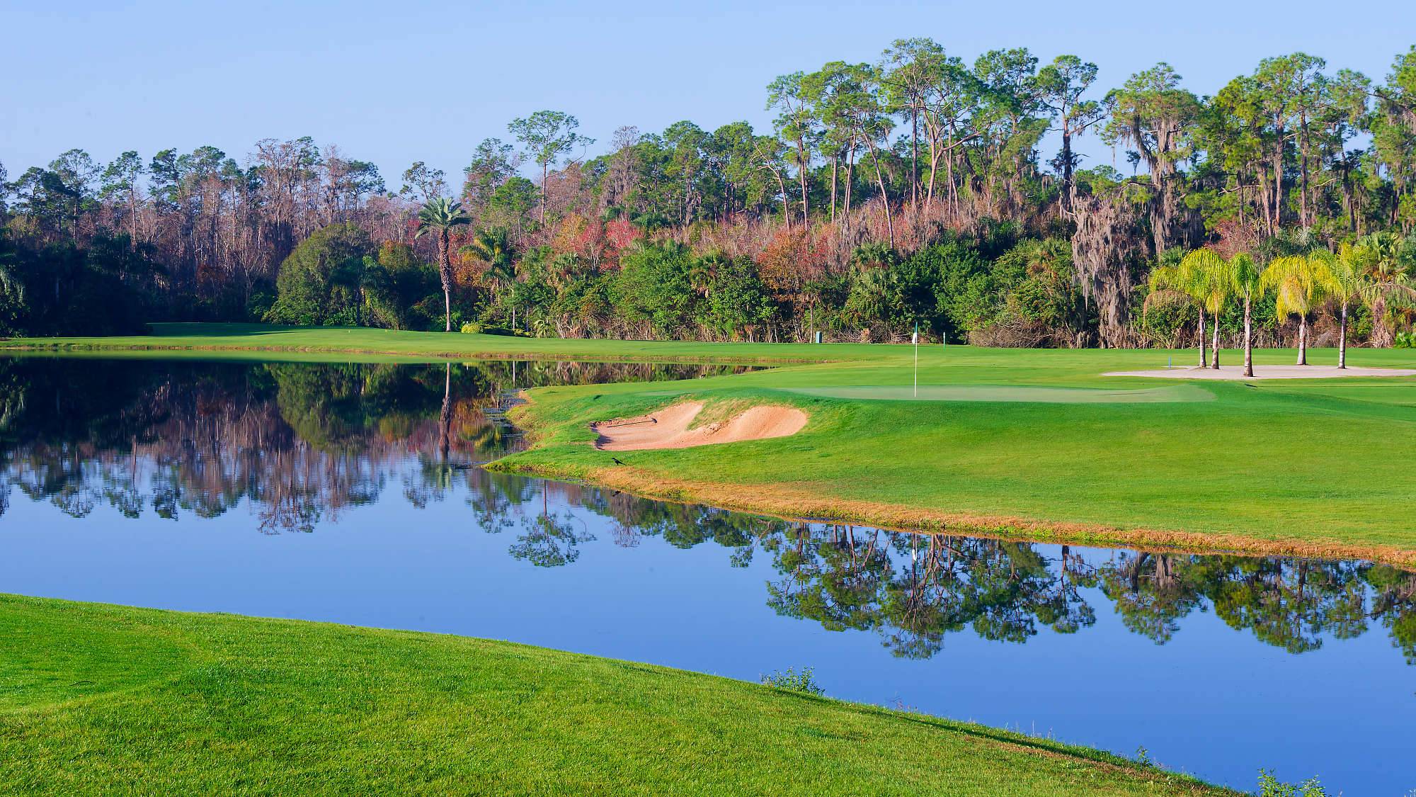 Disney Palm Bahn 10-18 MZ6 _8616_DxO