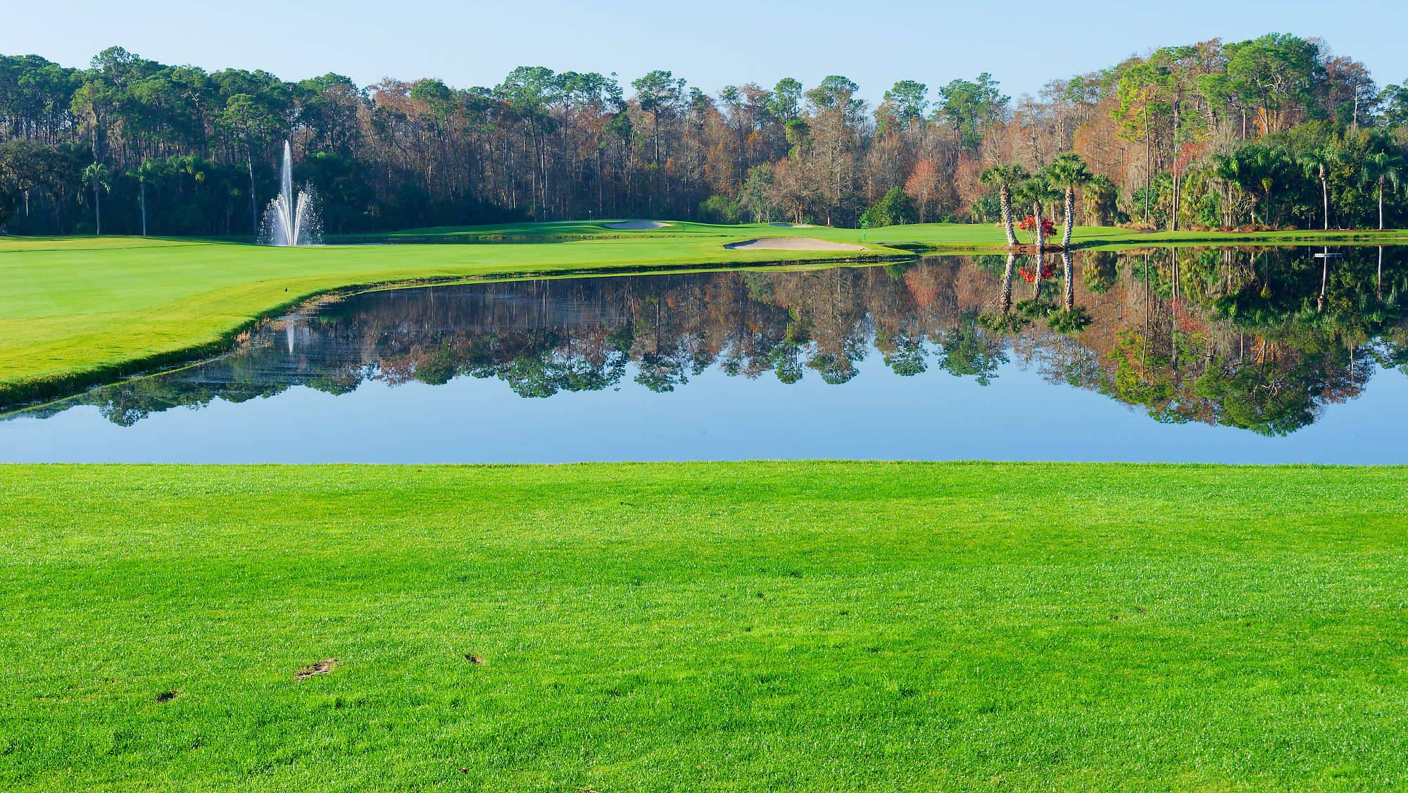 Disney Palm Bahn 10-18 MZ6 _8617_DxO