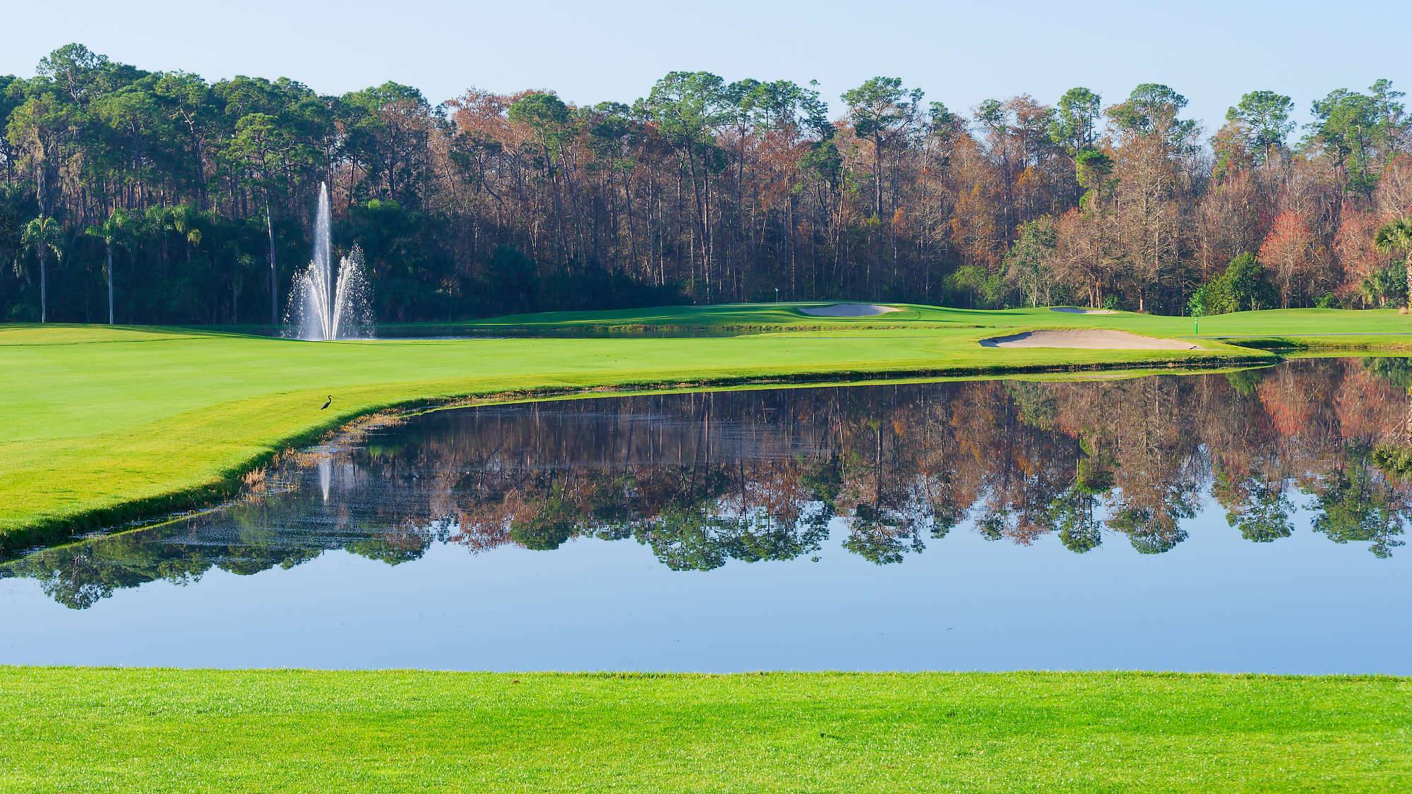 Disney Palm Bahn 10-18 MZ6 _8618_DxO