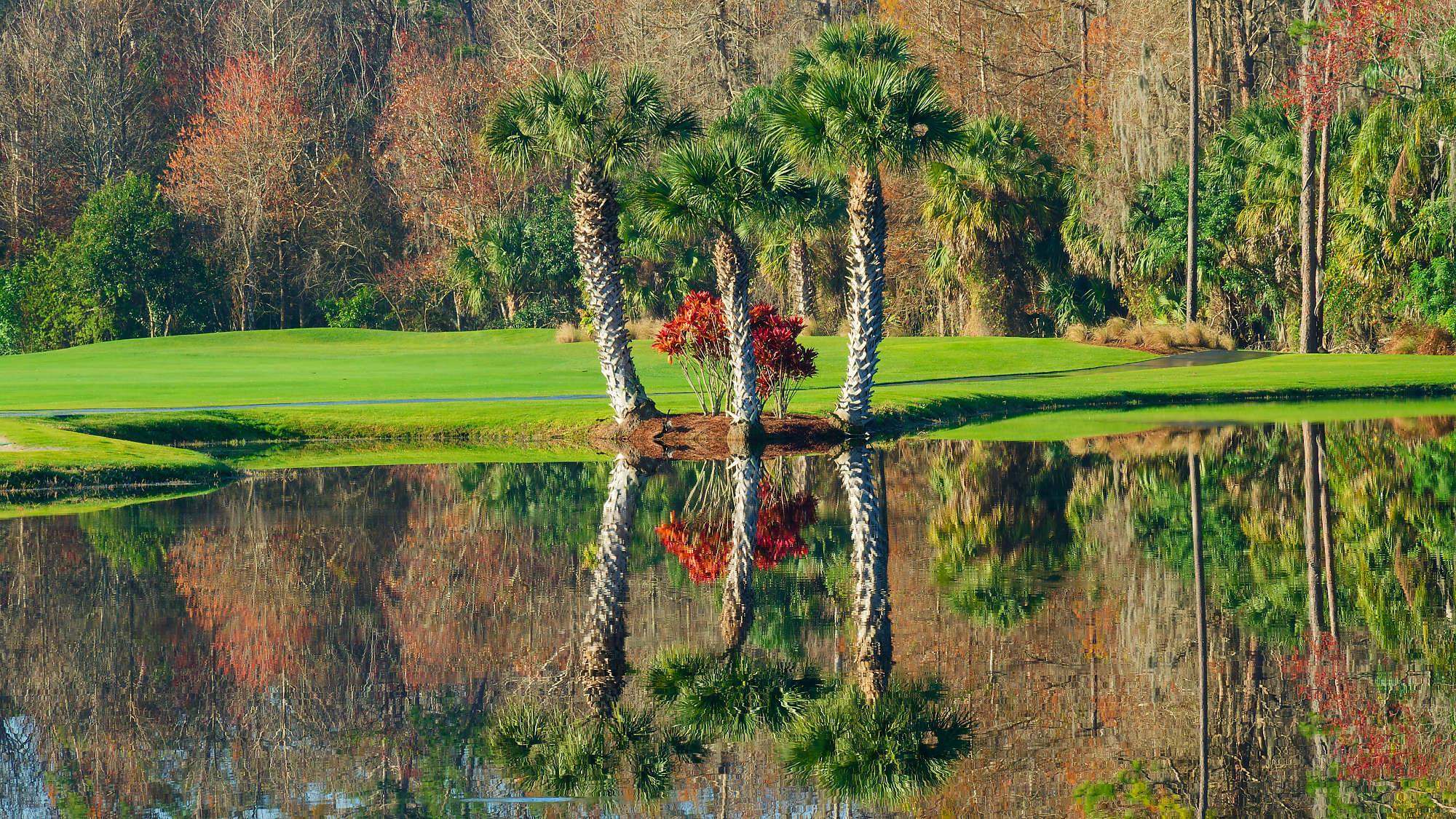 Disney Palm Bahn 10-18 MZ6 _8619_DxO