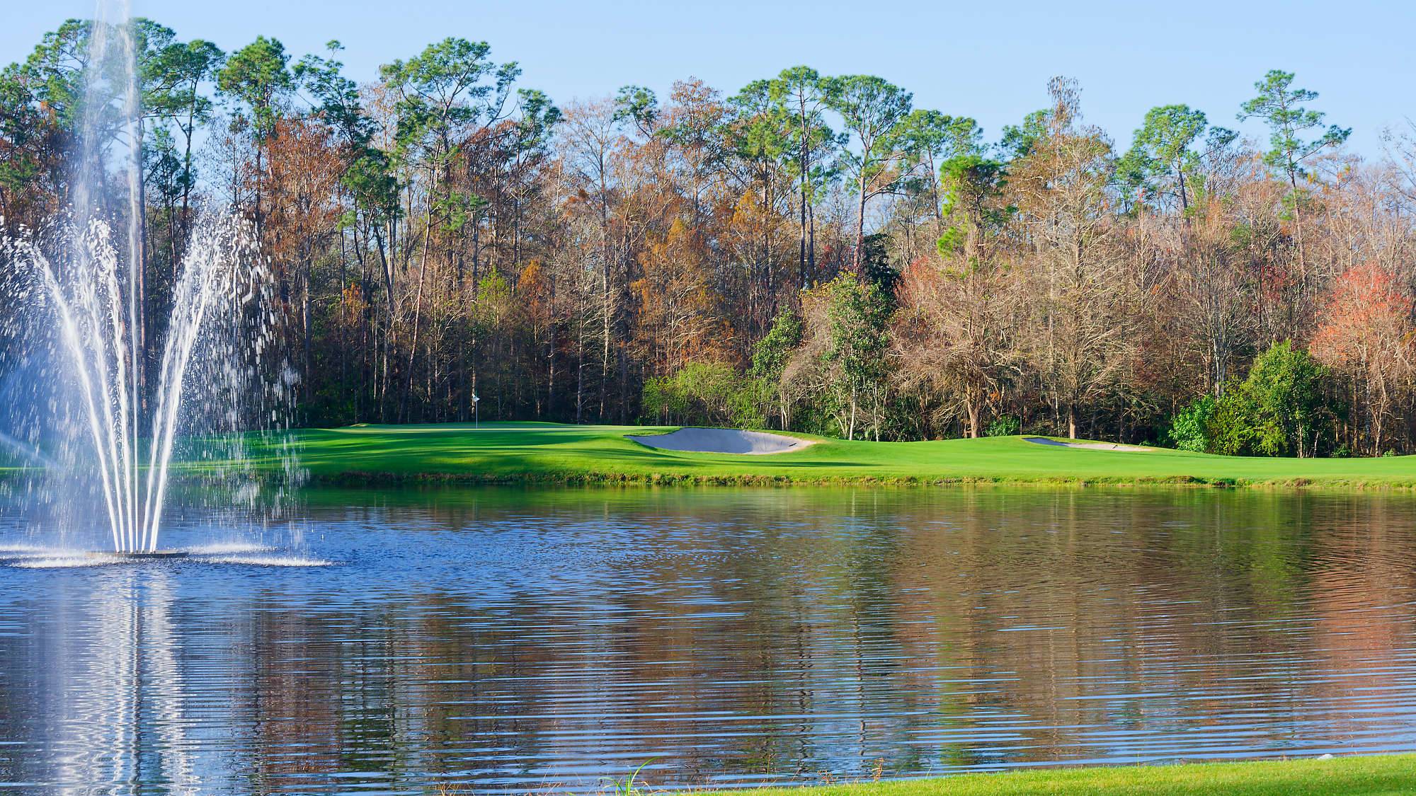 Disney Palm Bahn 10-18 MZ6 _8624_DxO