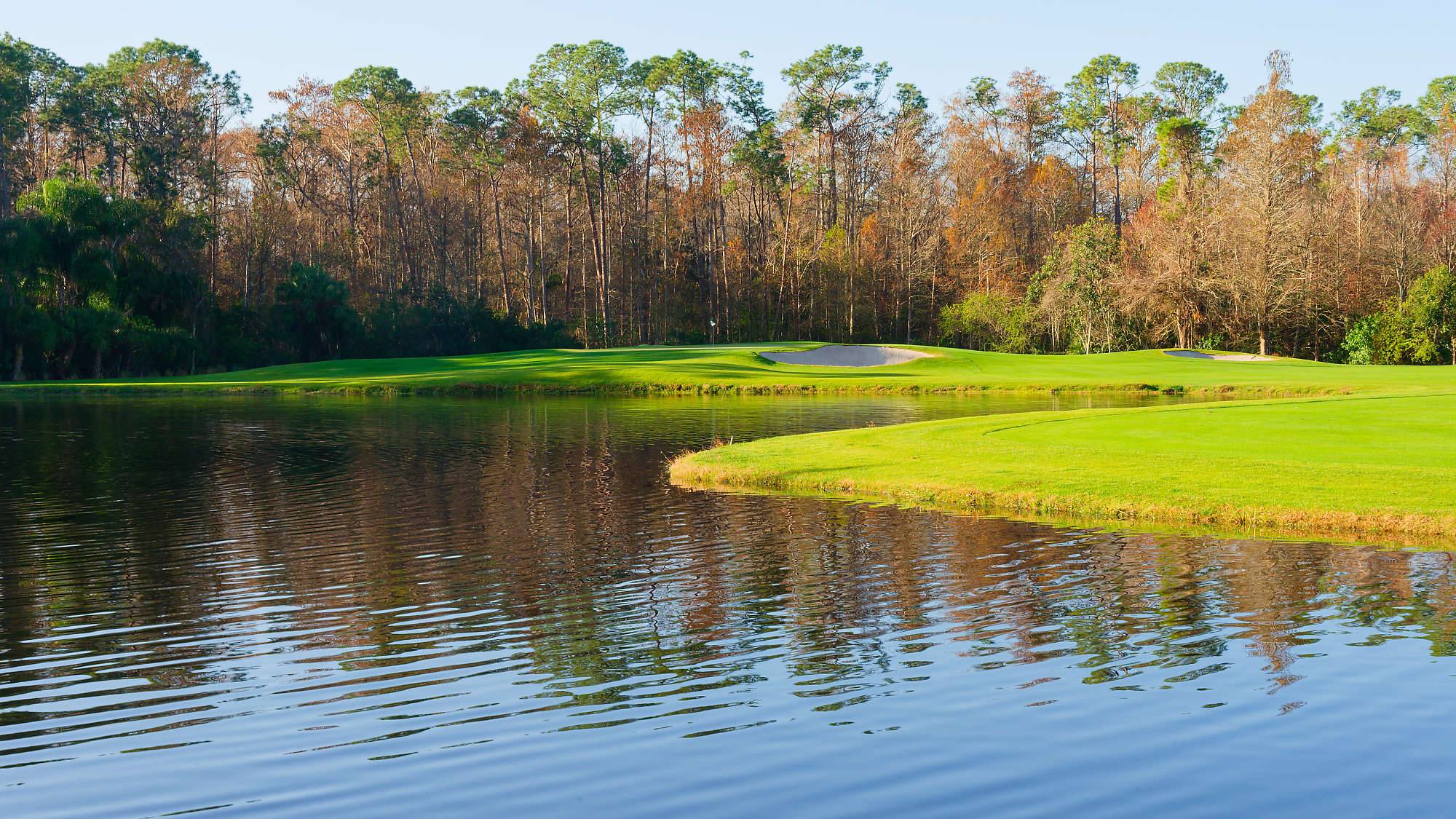 Disney Palm Bahn 10-18 MZ6 _8625_DxO