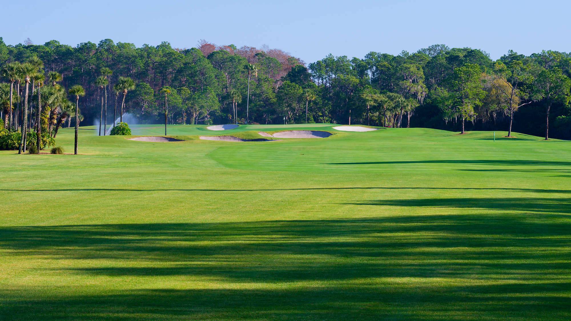 Disney Palm Bahn 10-18 MZ6 _8628_DxO