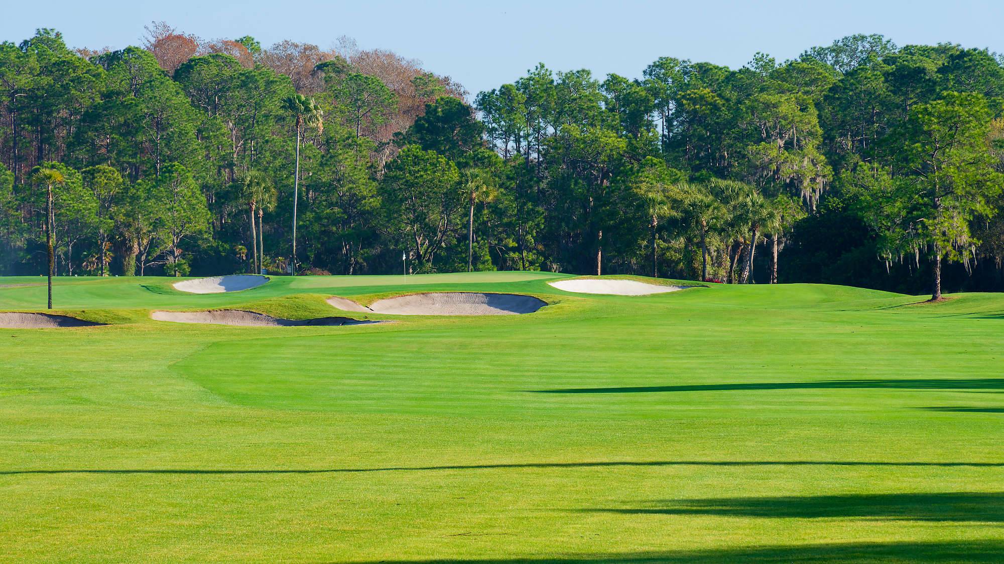 Disney Palm Bahn 10-18 MZ6 _8630_DxO