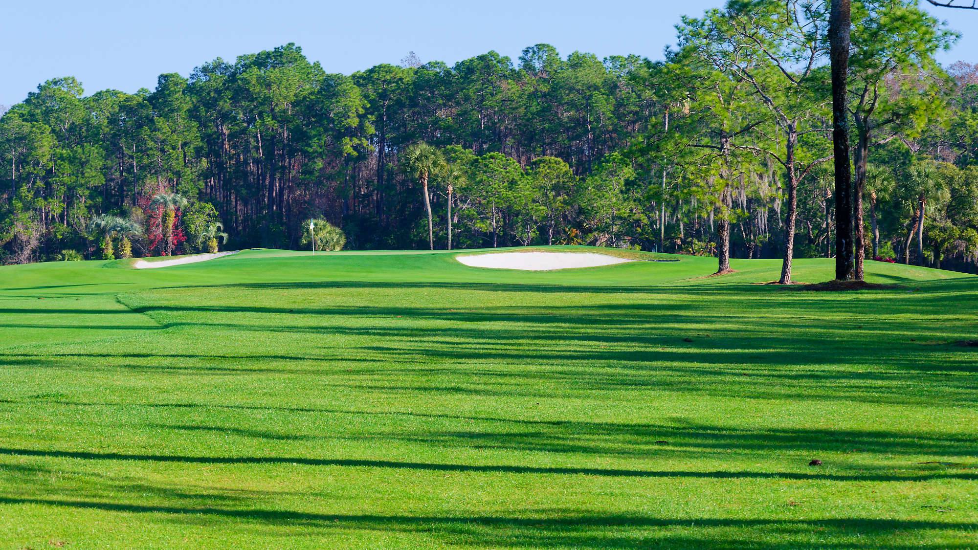 Disney Palm Bahn 10-18 MZ6 _8633_DxO