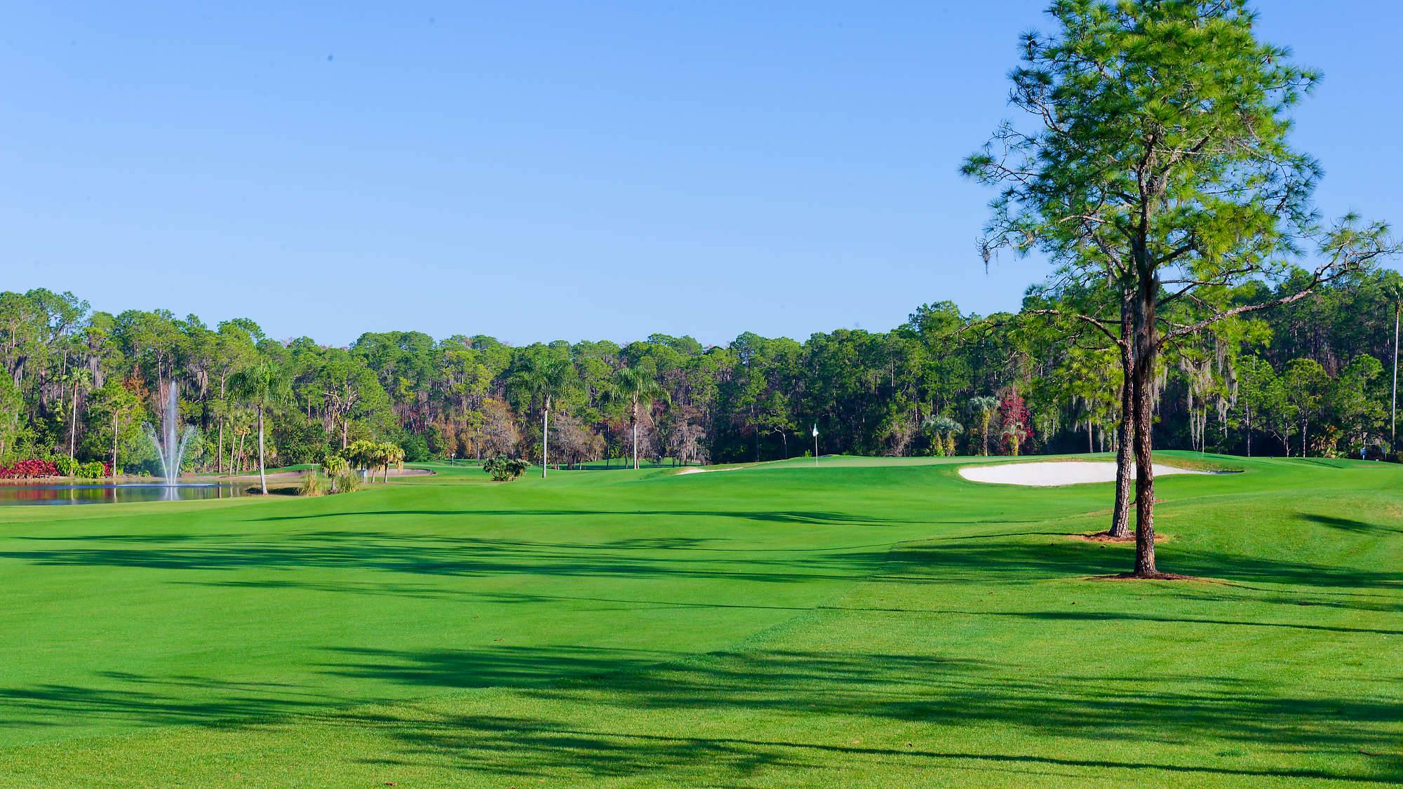 Disney Palm Bahn 10-18 MZ6 _8634_DxO