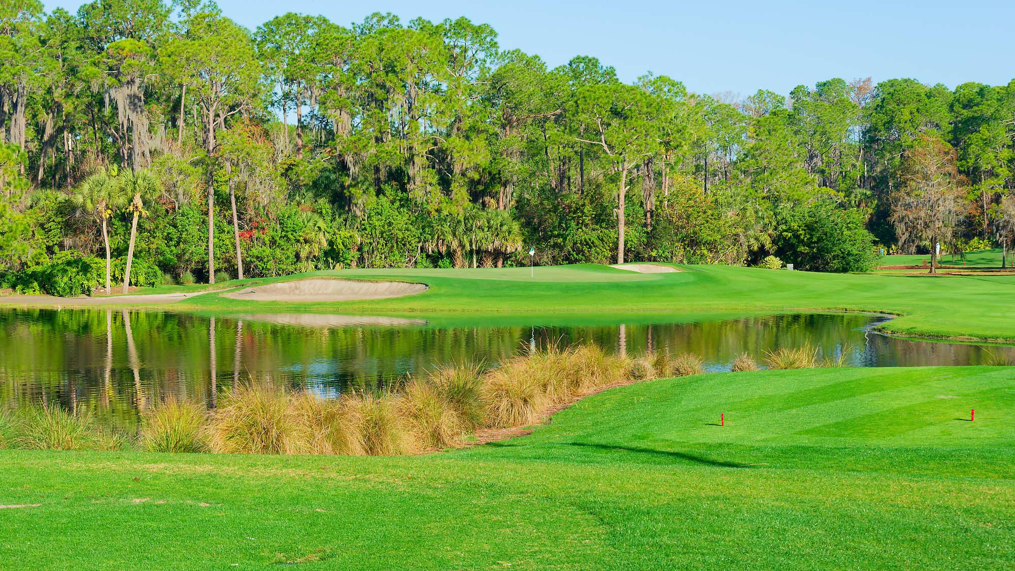 Disney Palm Bahn 10-18 MZ6 _8636_DxO