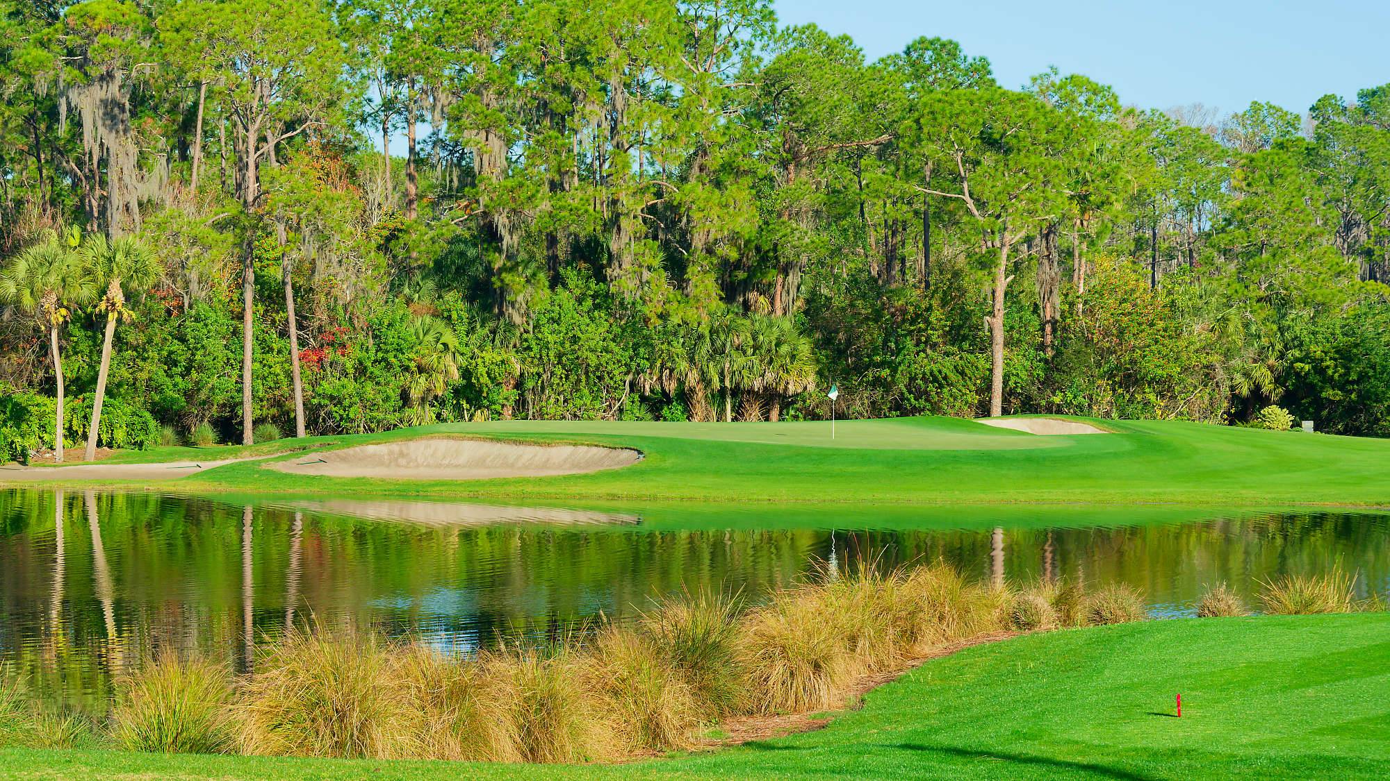 Disney Palm Bahn 10-18 MZ6 _8639_DxO